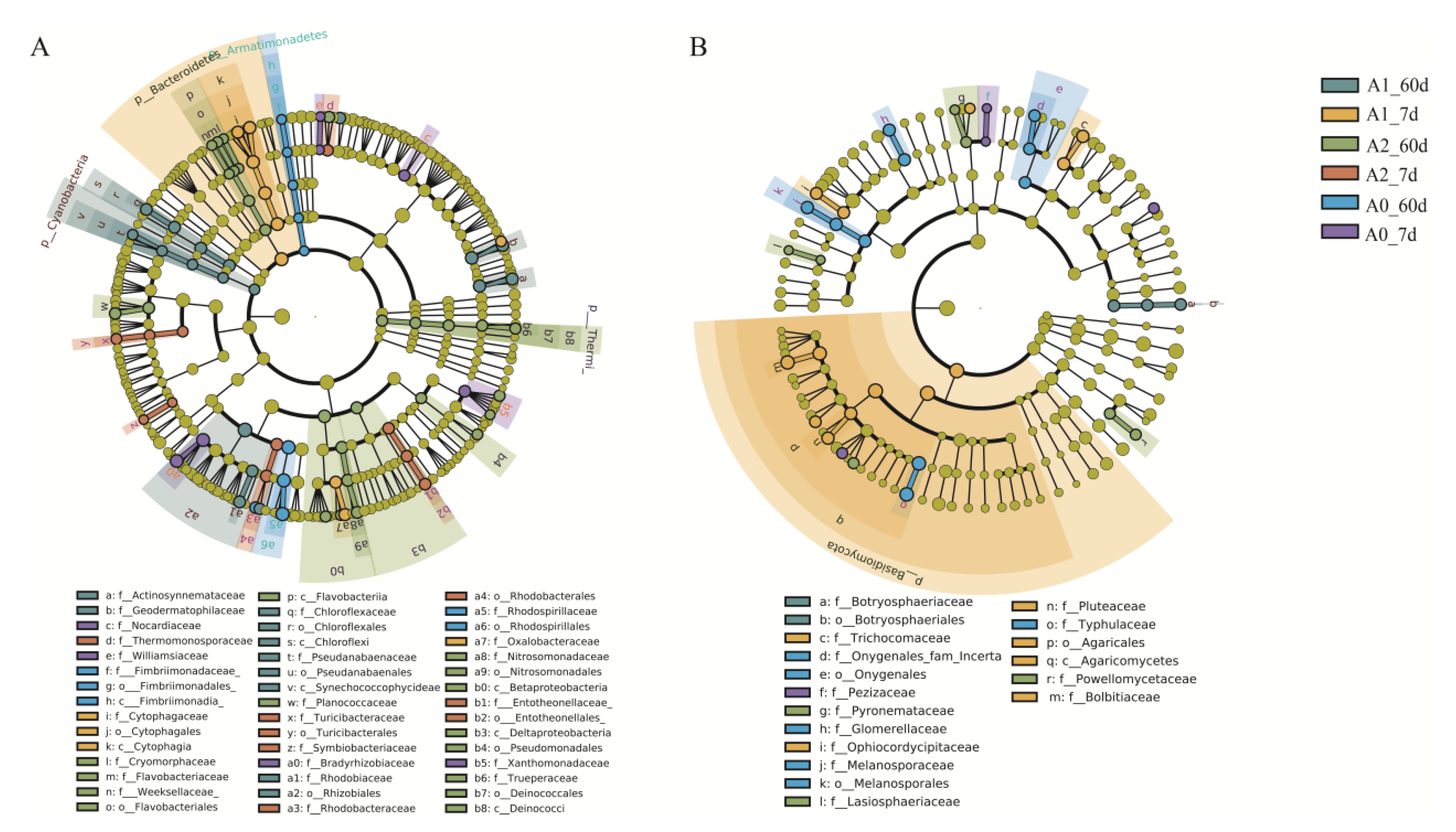 Microorganisms 11 01829 g005