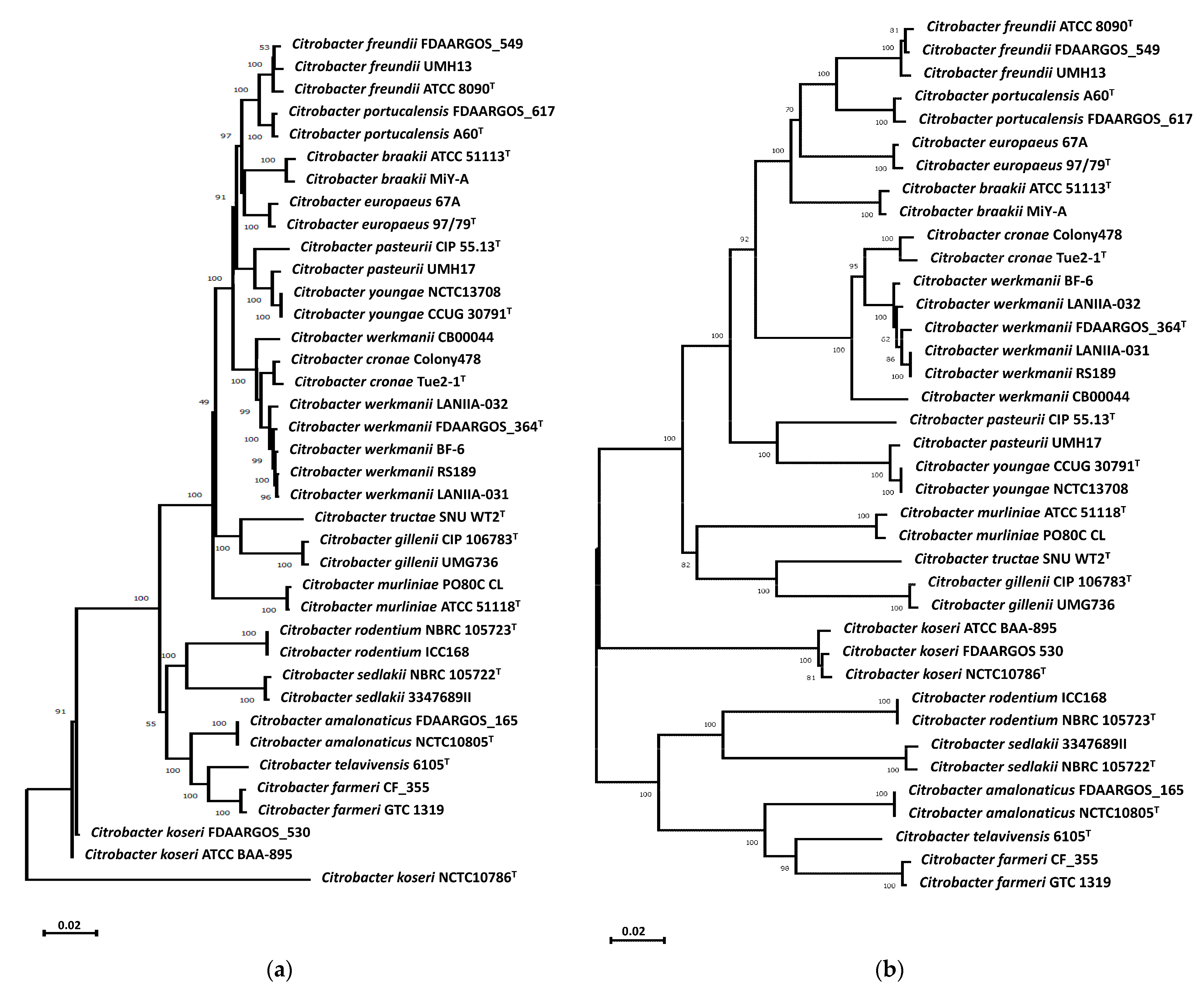 Microorganisms 11 02114 g001