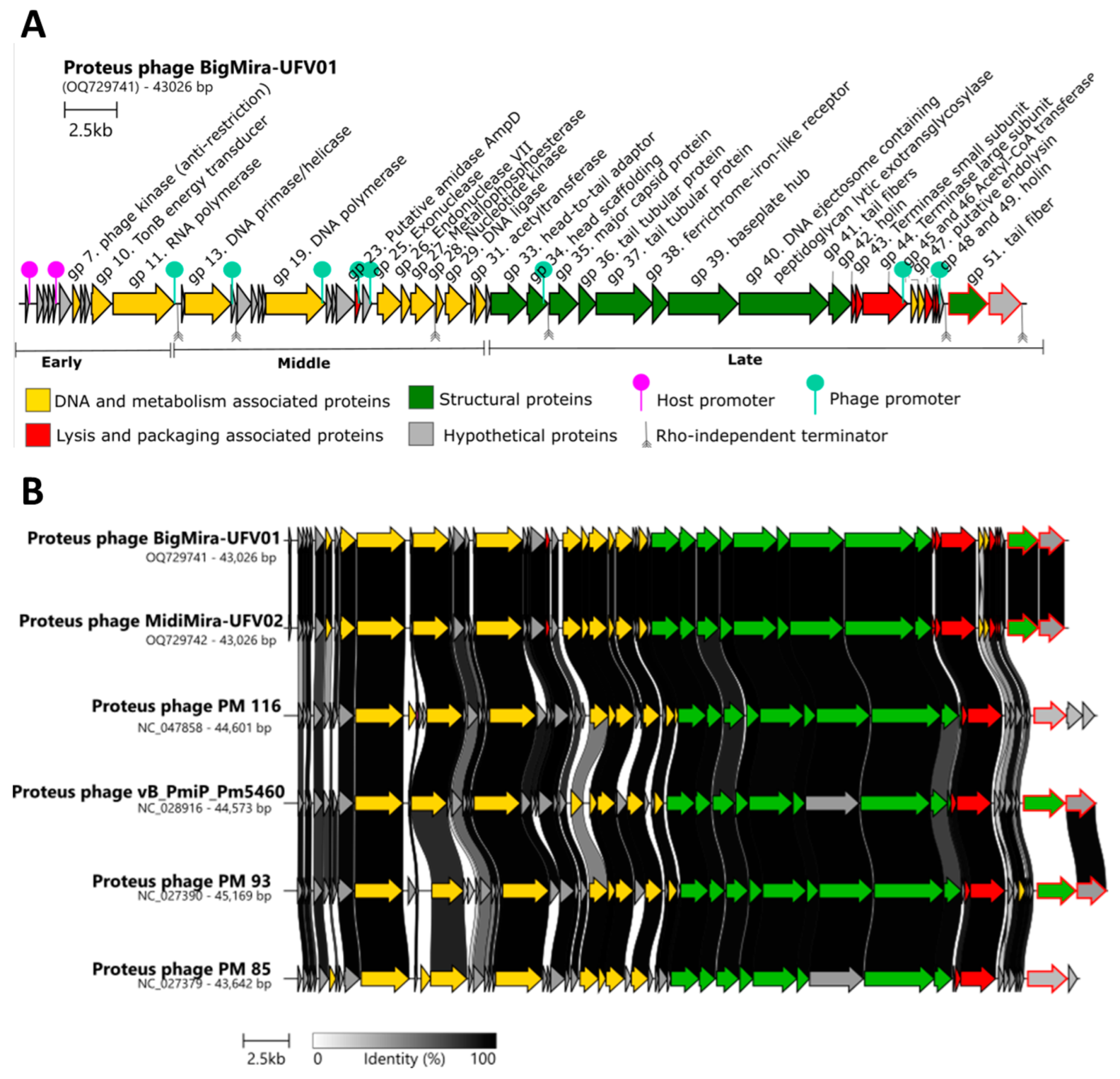 Microorganisms 11 02141 g005