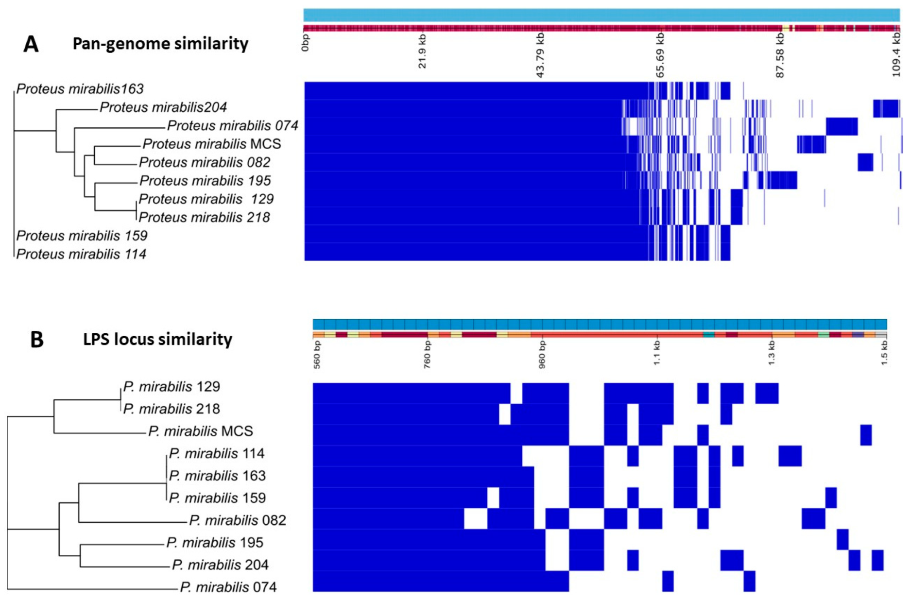Microorganisms 11 02141 g007