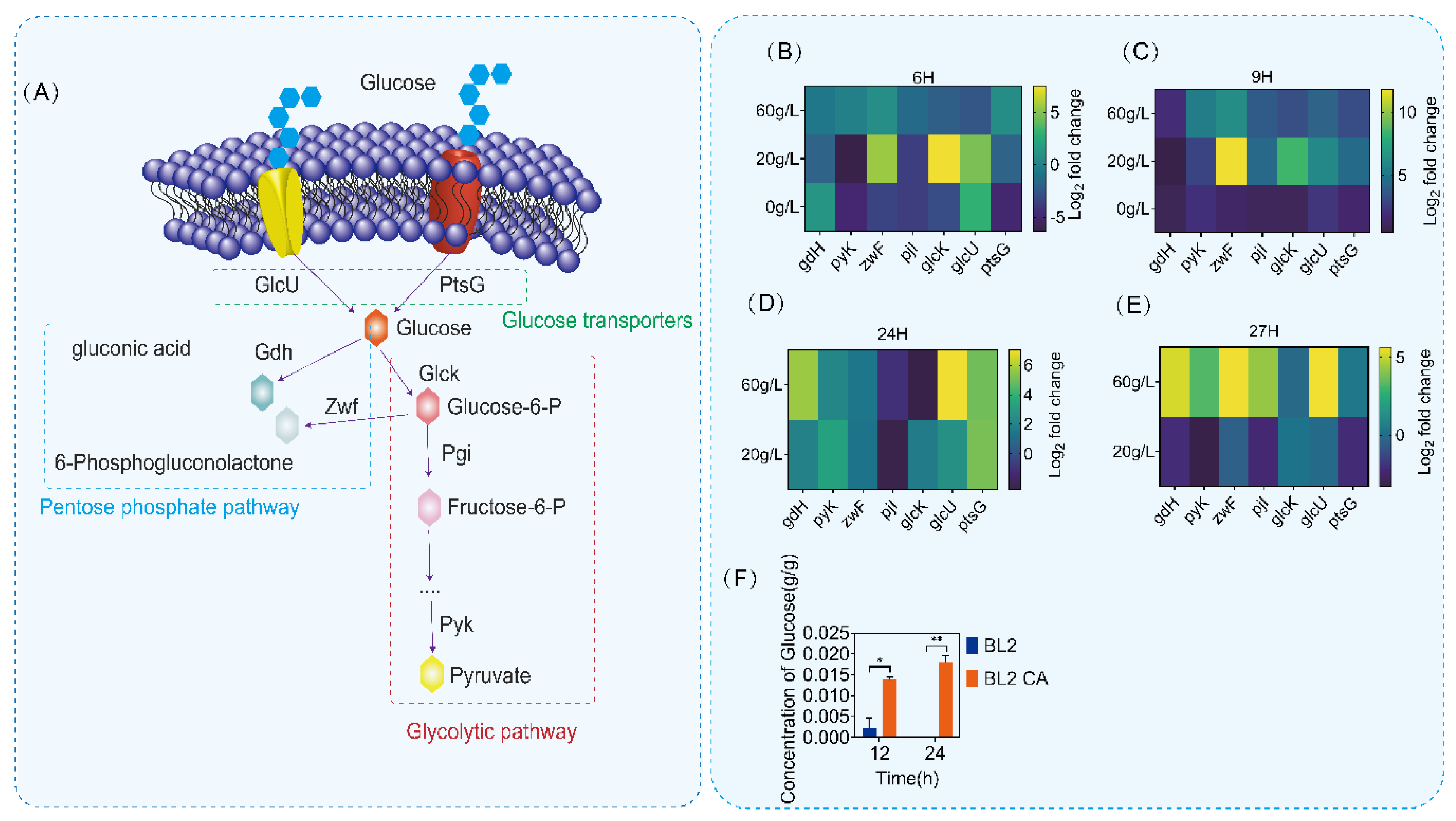 Microorganisms 11 02303 g004