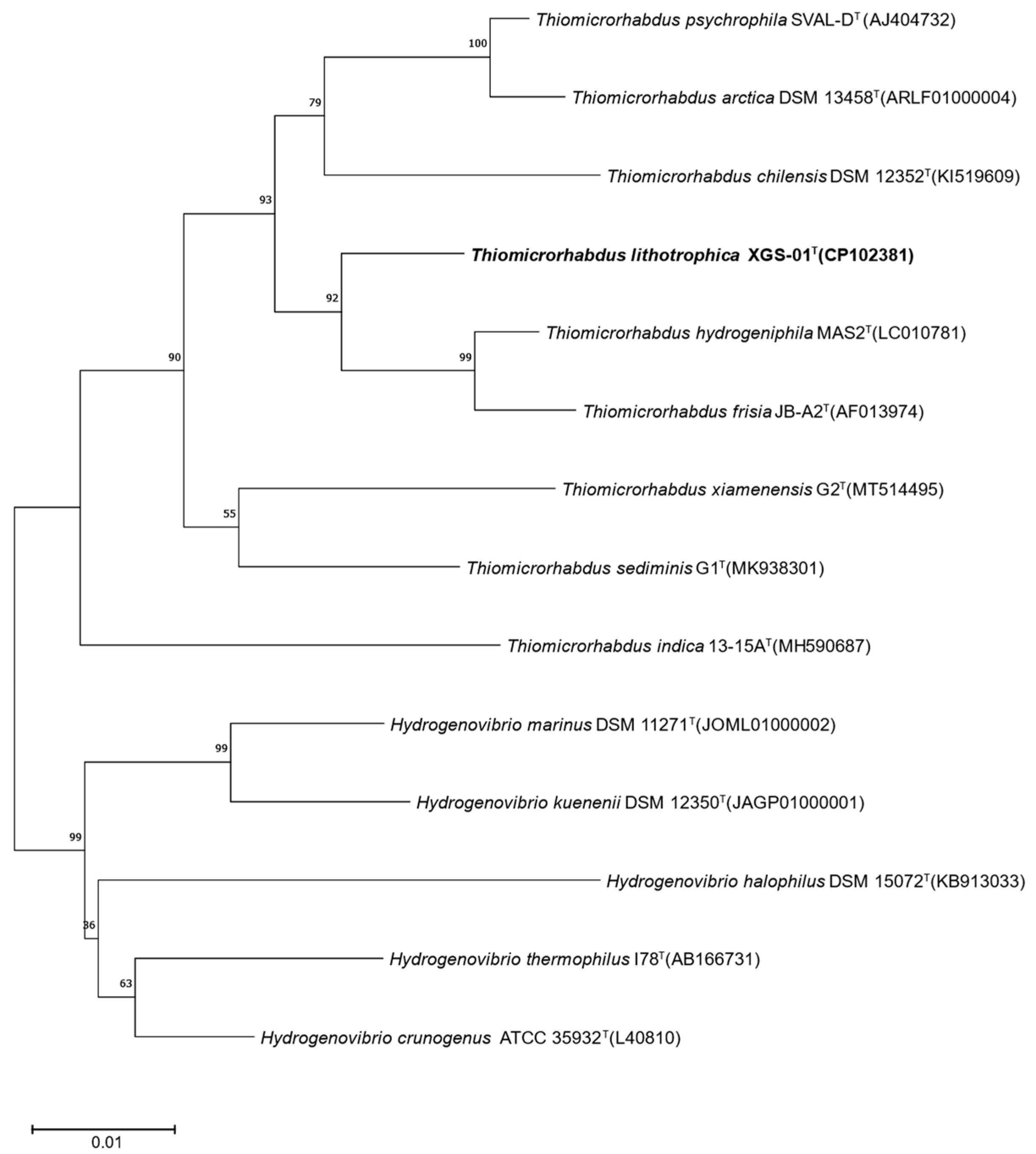 Microorganisms 11 02569 g001
