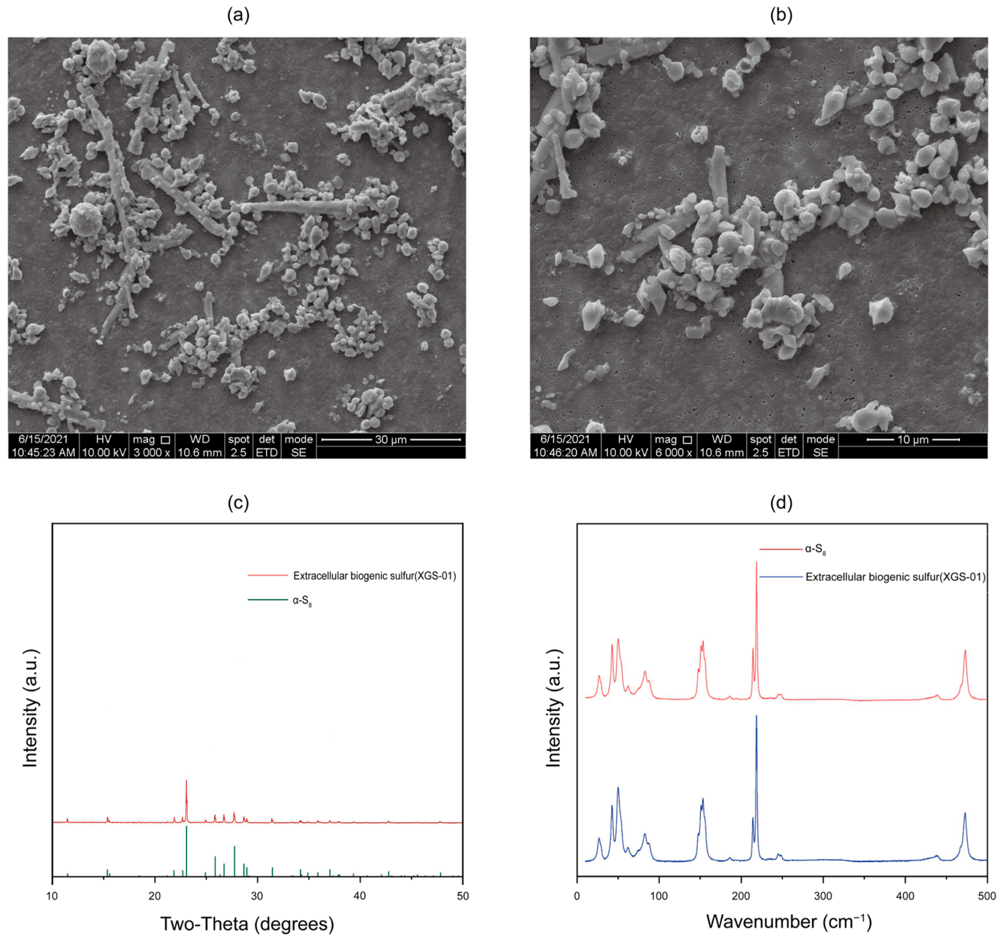 Microorganisms 11 02569 g003