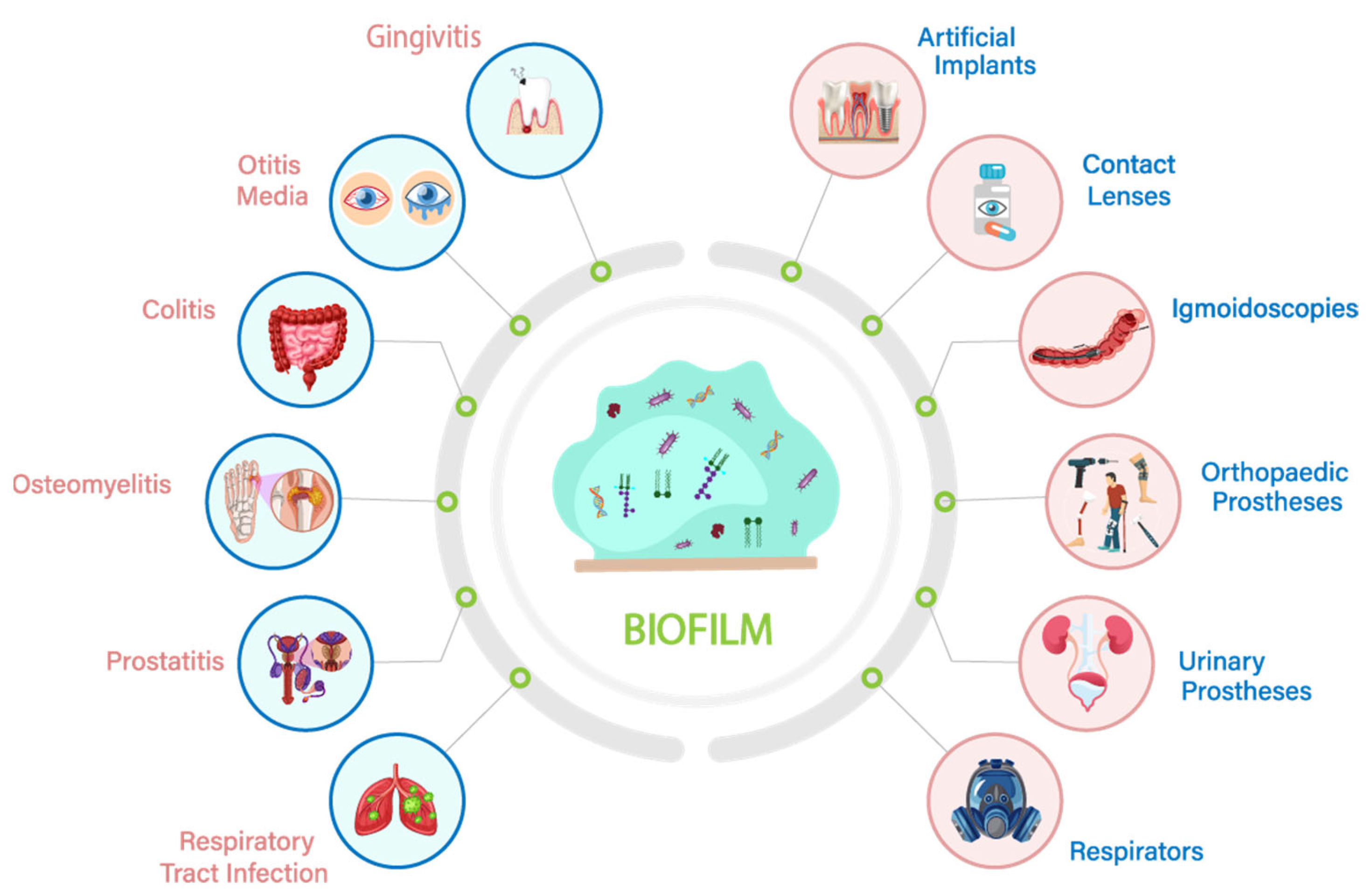 Microorganisms 11 02595 g002 Microorganisms 11 02595 g002