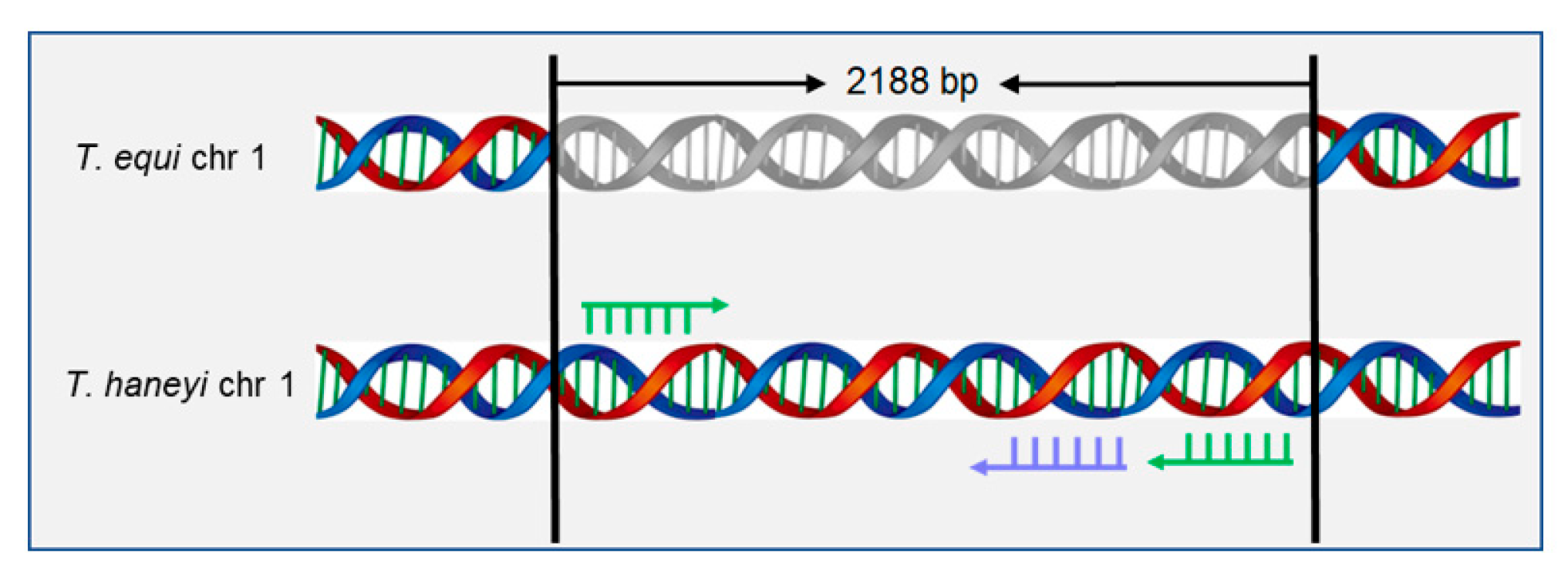 Microorganisms 11 02633 g001