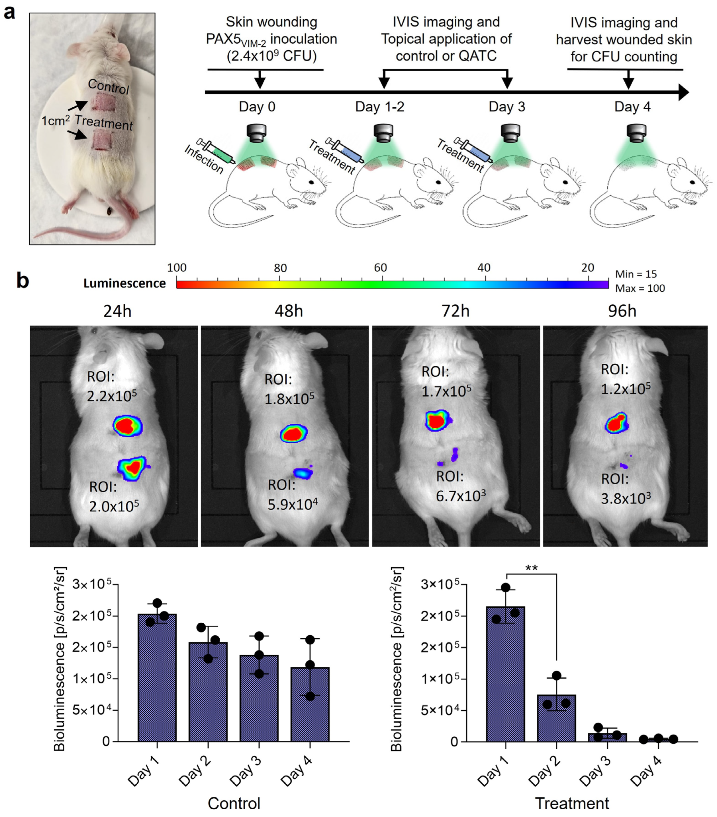 Microorganisms 11 02653 g005