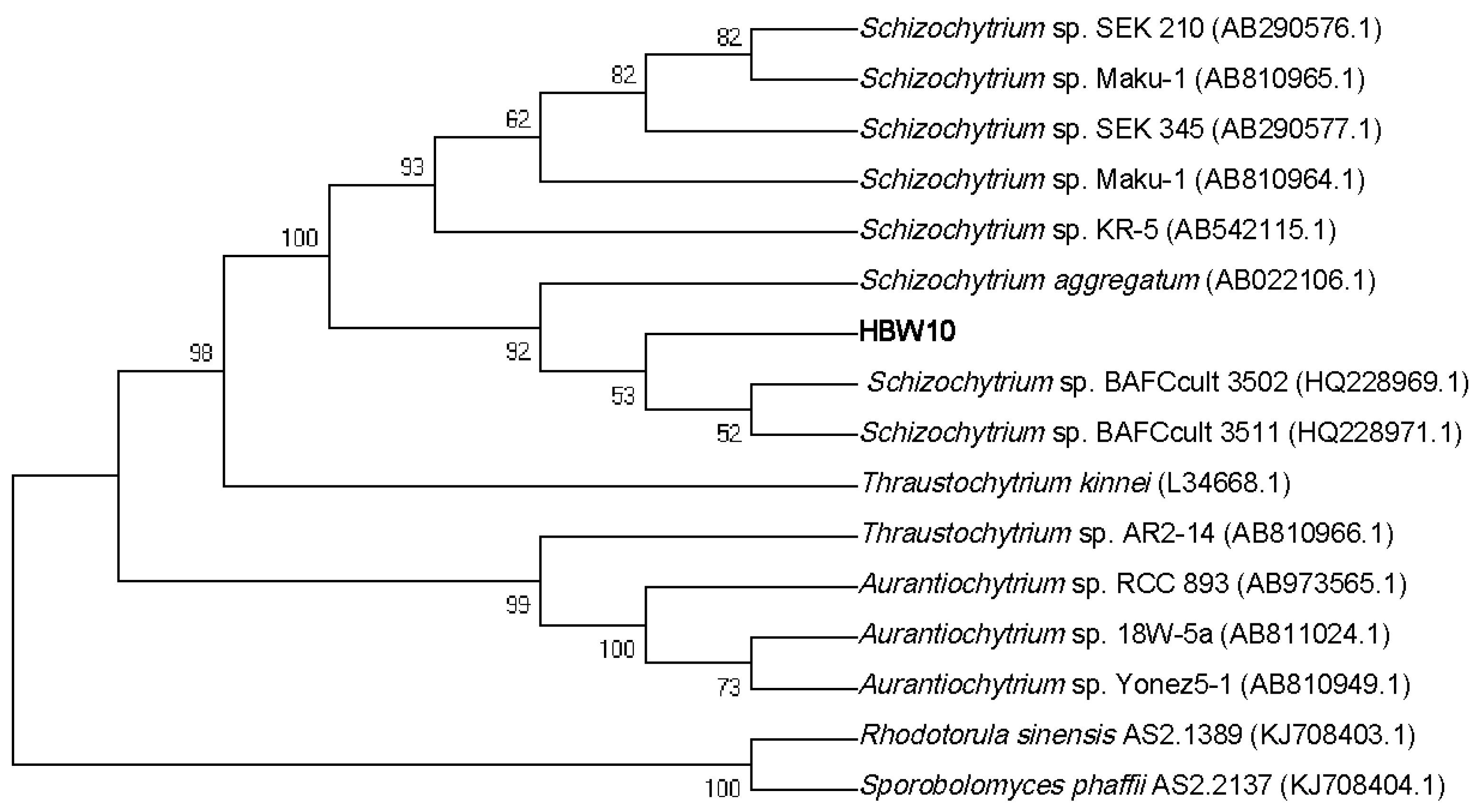 Microorganisms 11 02714 g001