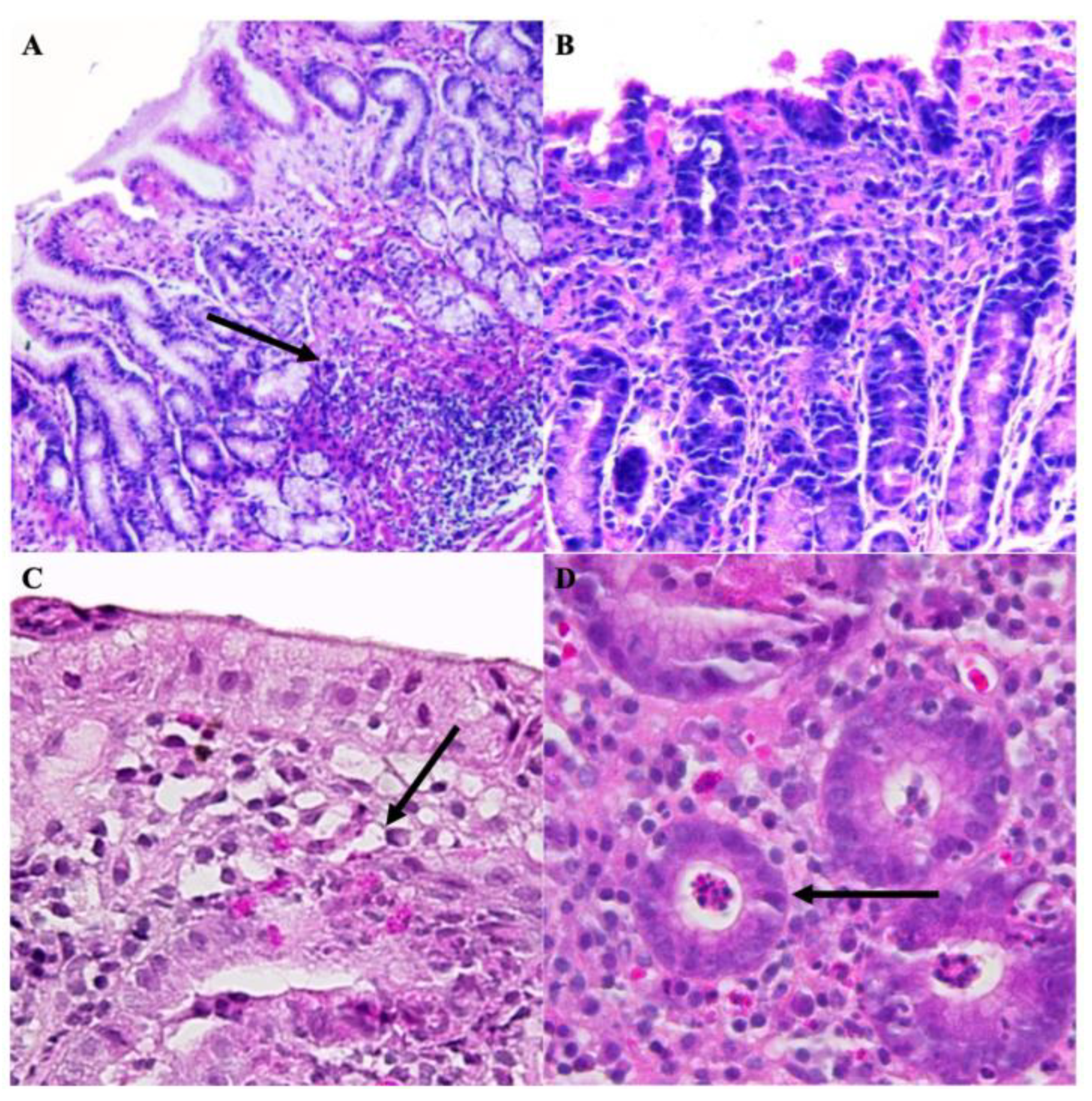 Microorganisms 11 02748 g002