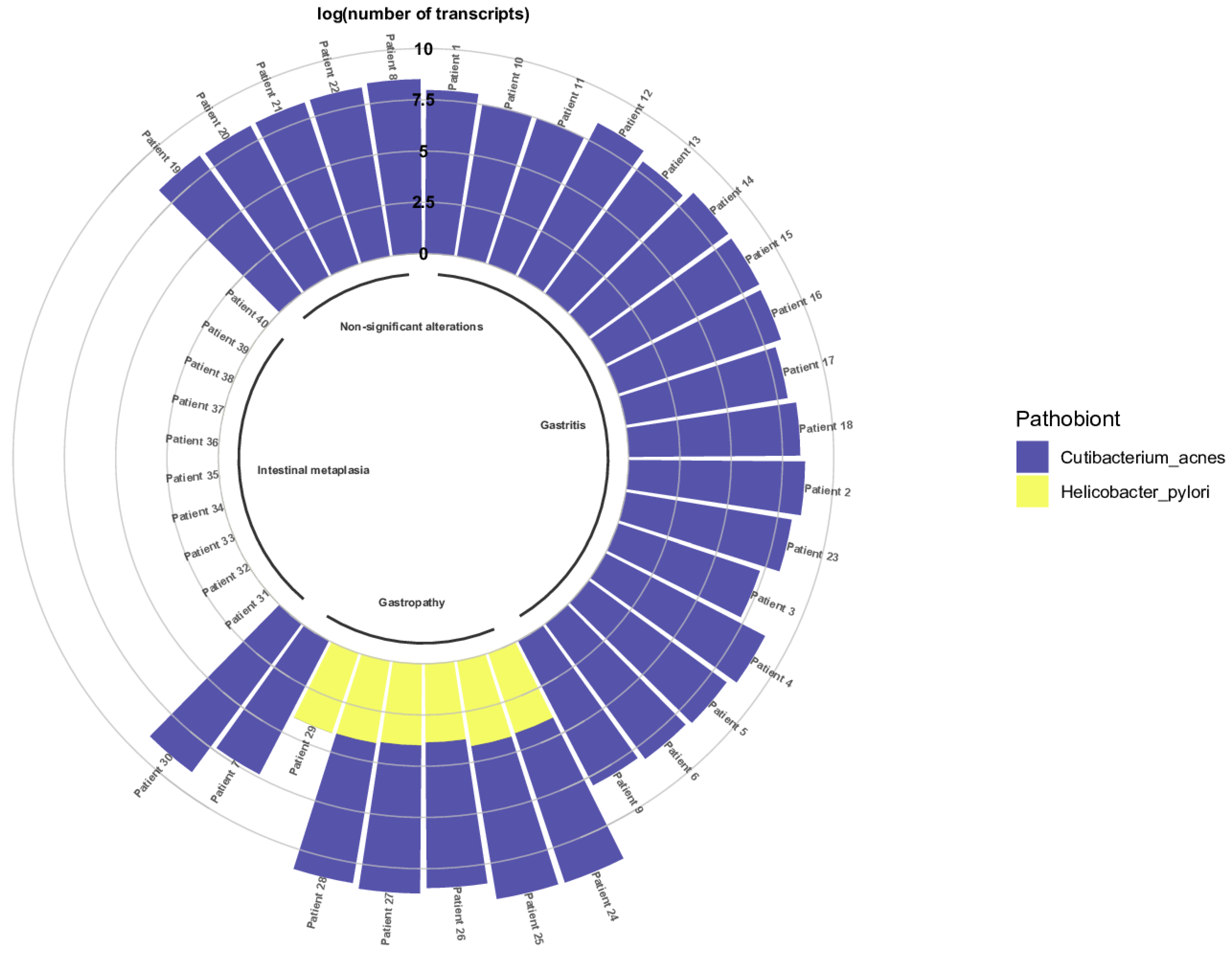 Microorganisms 11 02748 g007