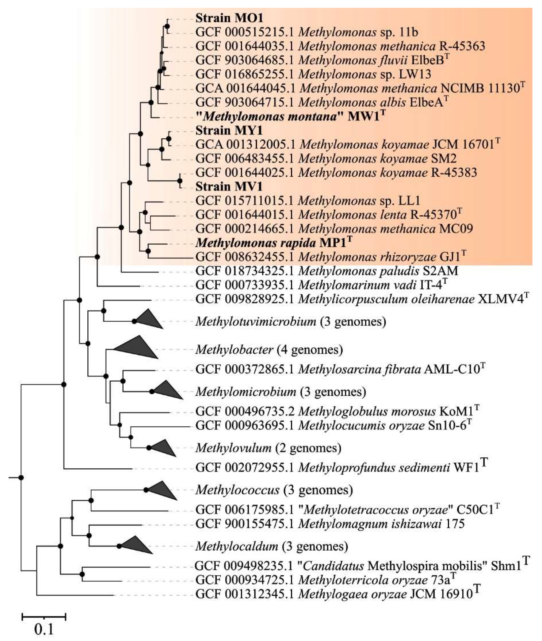 Microorganisms 11 02865 g003