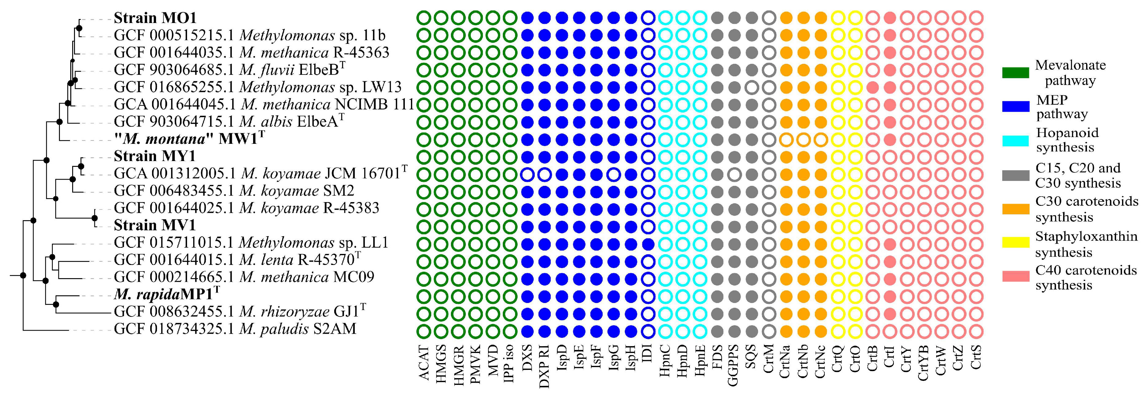 Microorganisms 11 02865 g004