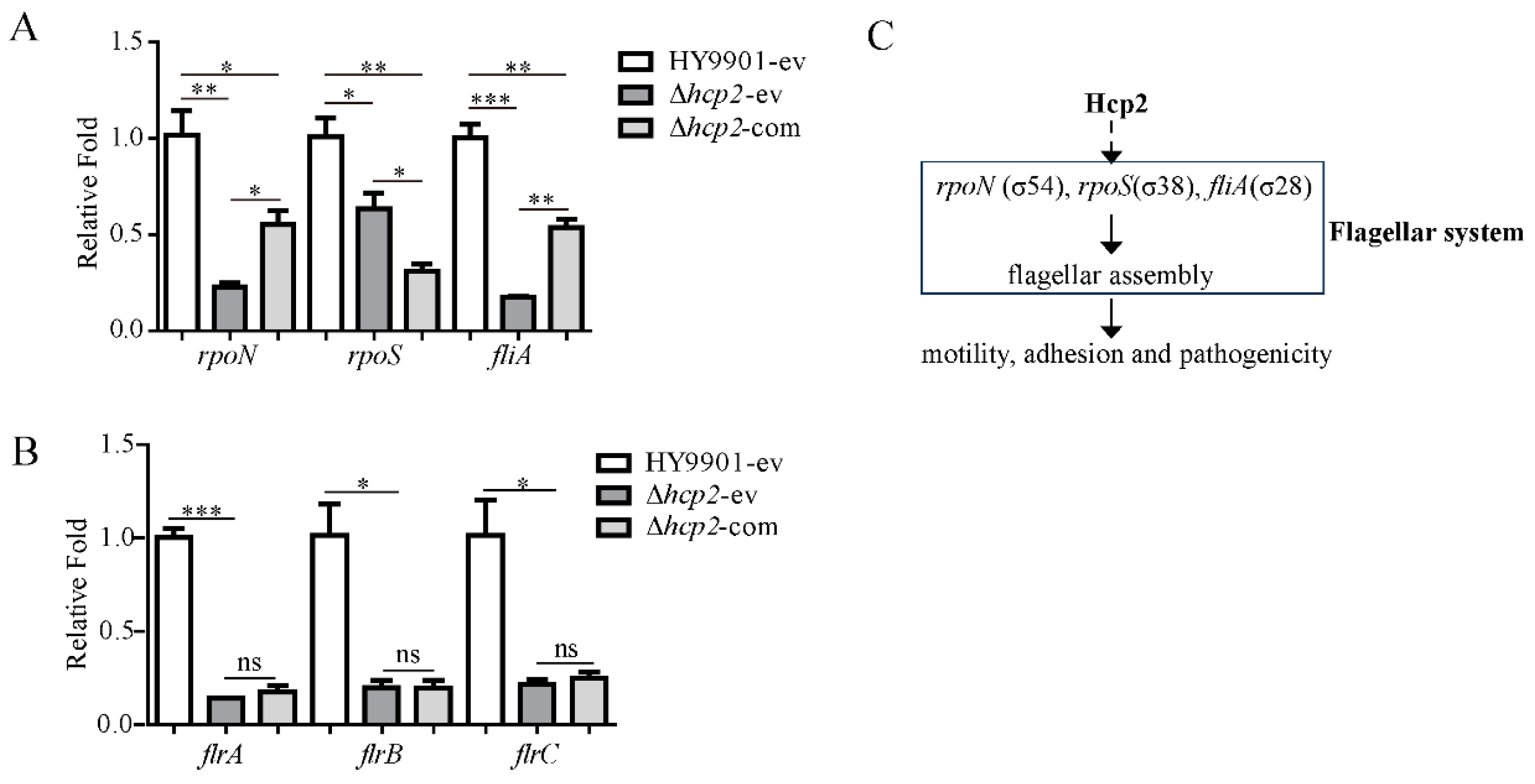 Microorganisms 11 02893 g006