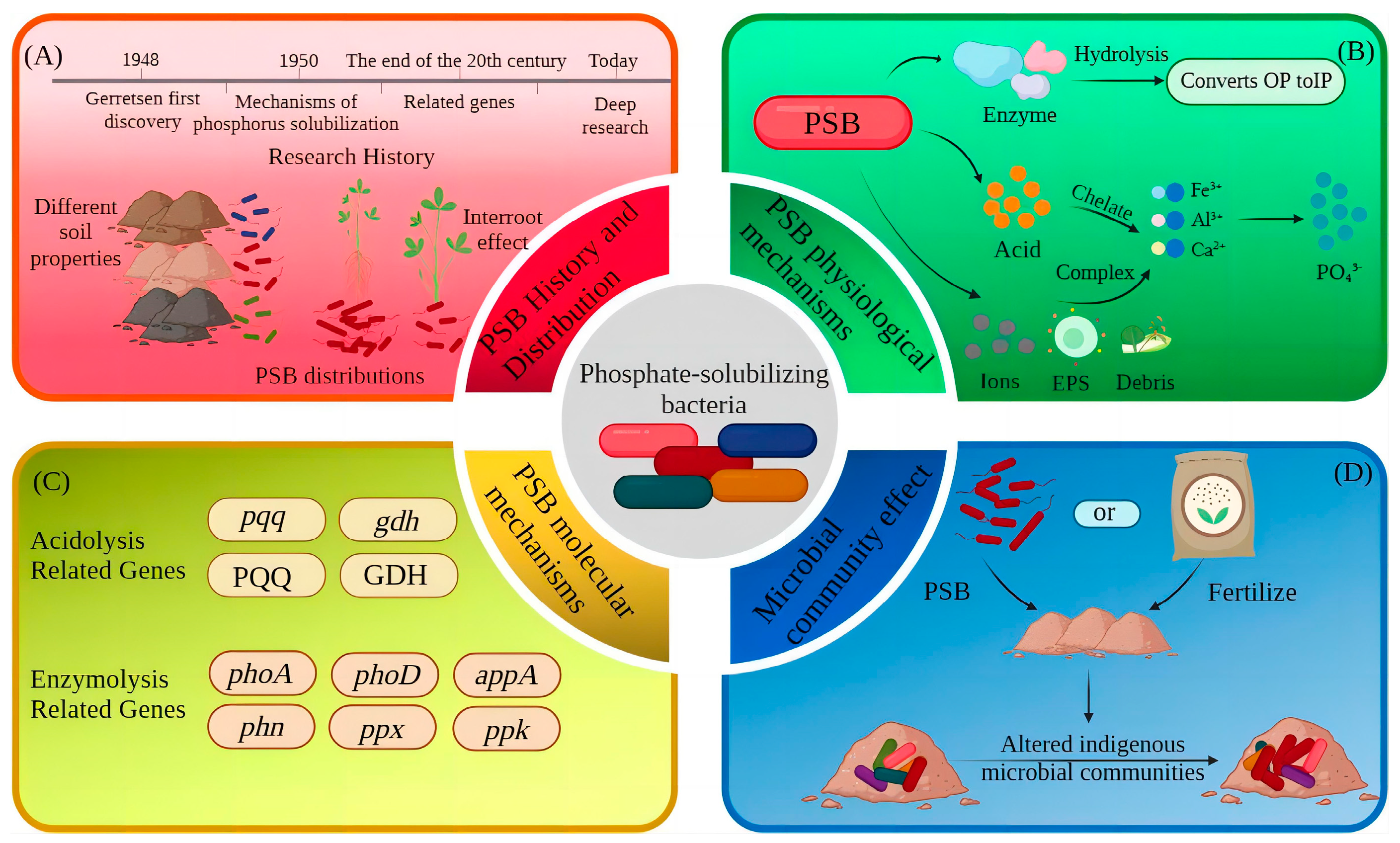Microorganisms 11 02904 g001