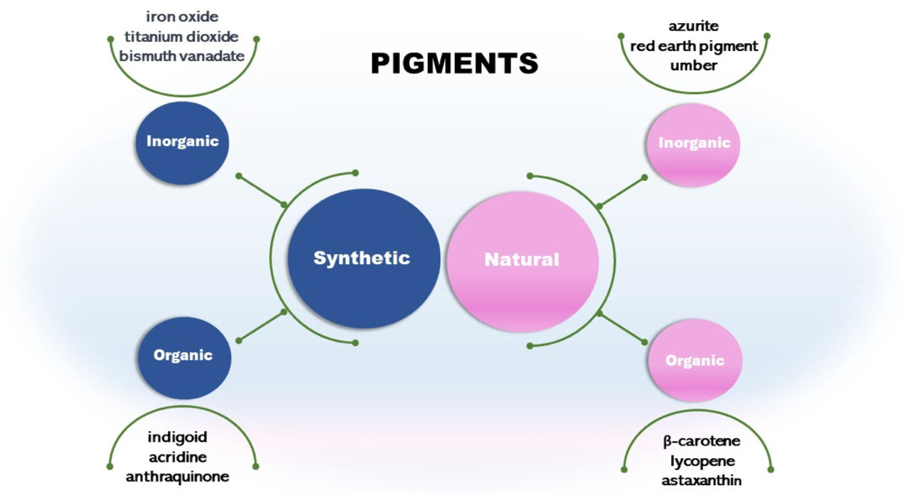 Microorganisms 11 02920 g001