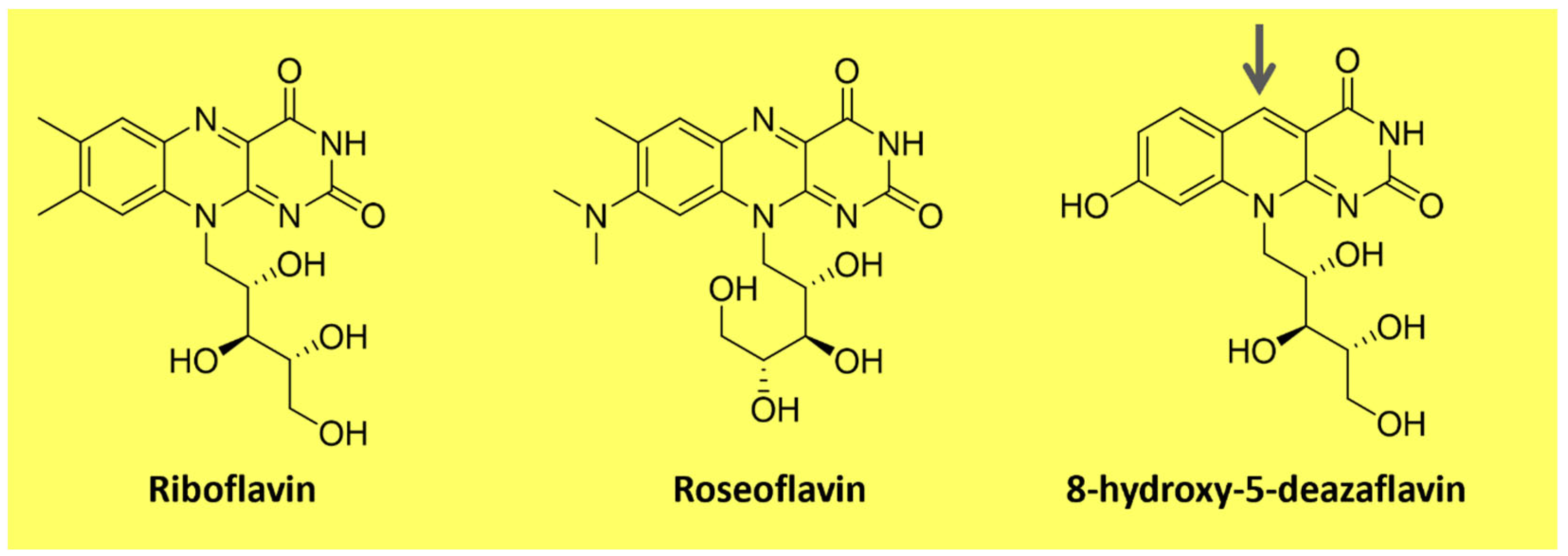 Microorganisms 11 02920 g003