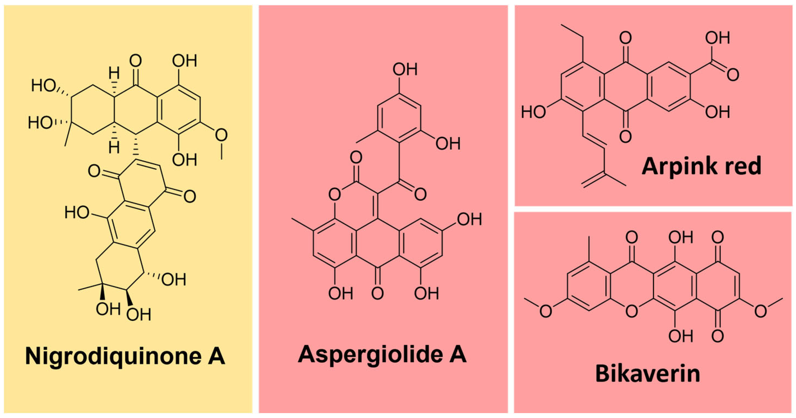 Microorganisms 11 02920 g012