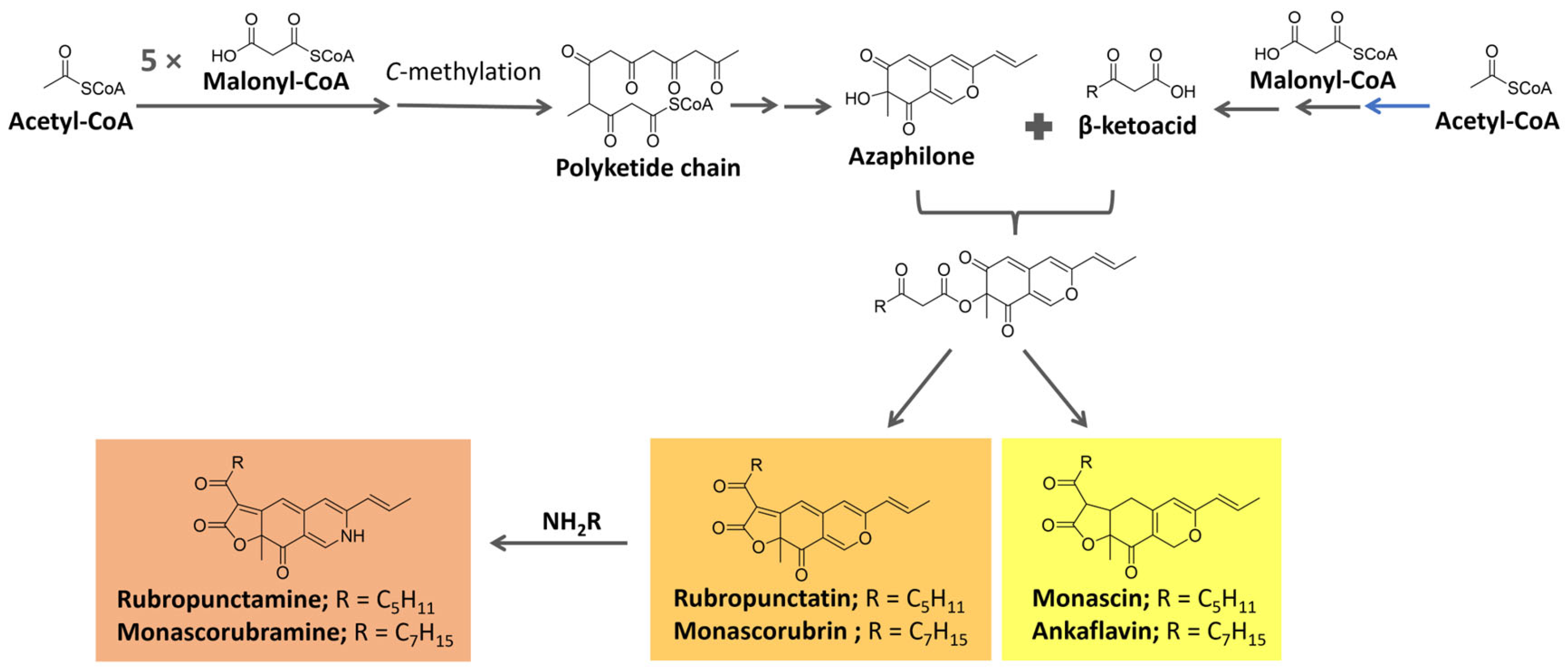 Microorganisms 11 02920 g014