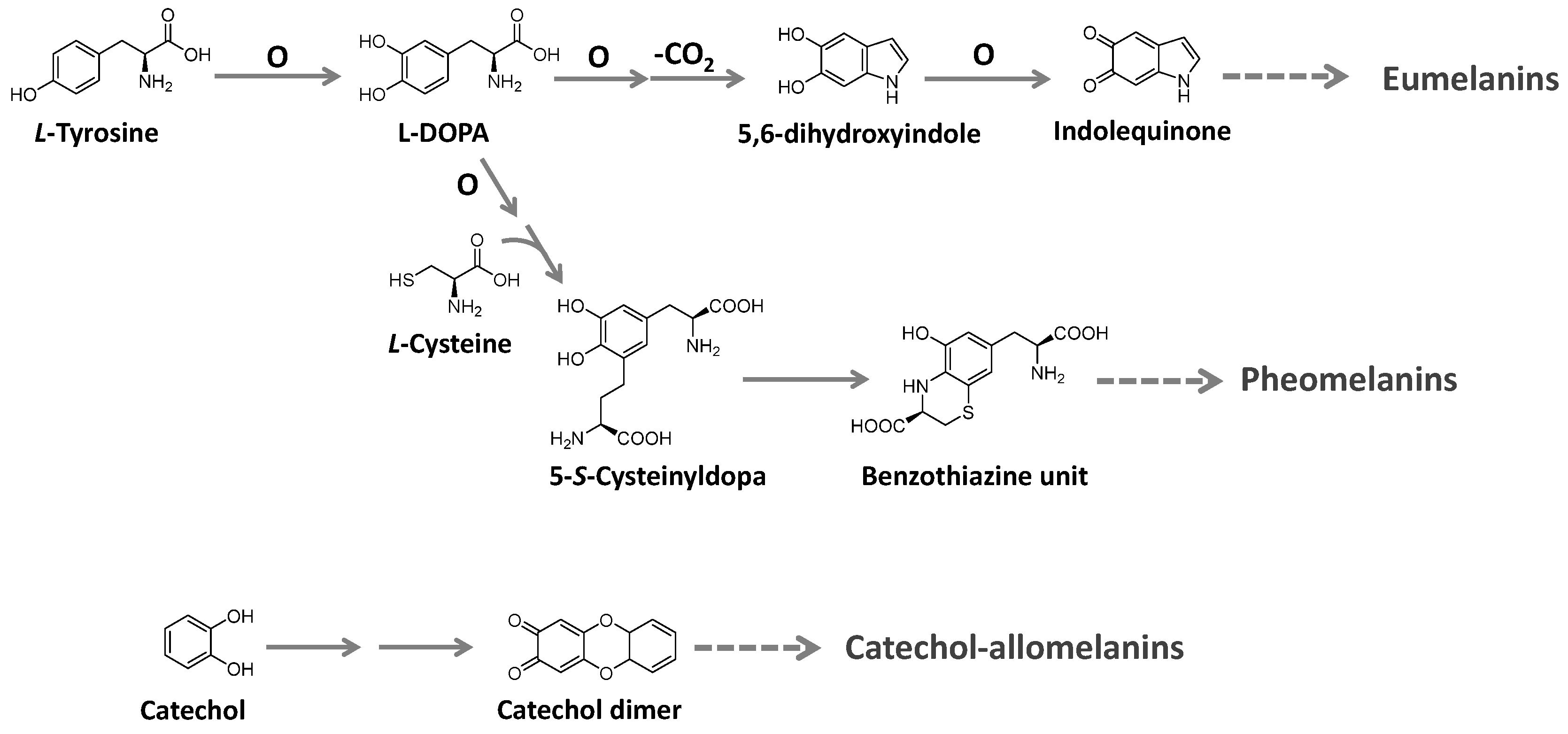 Microorganisms 11 02920 g017