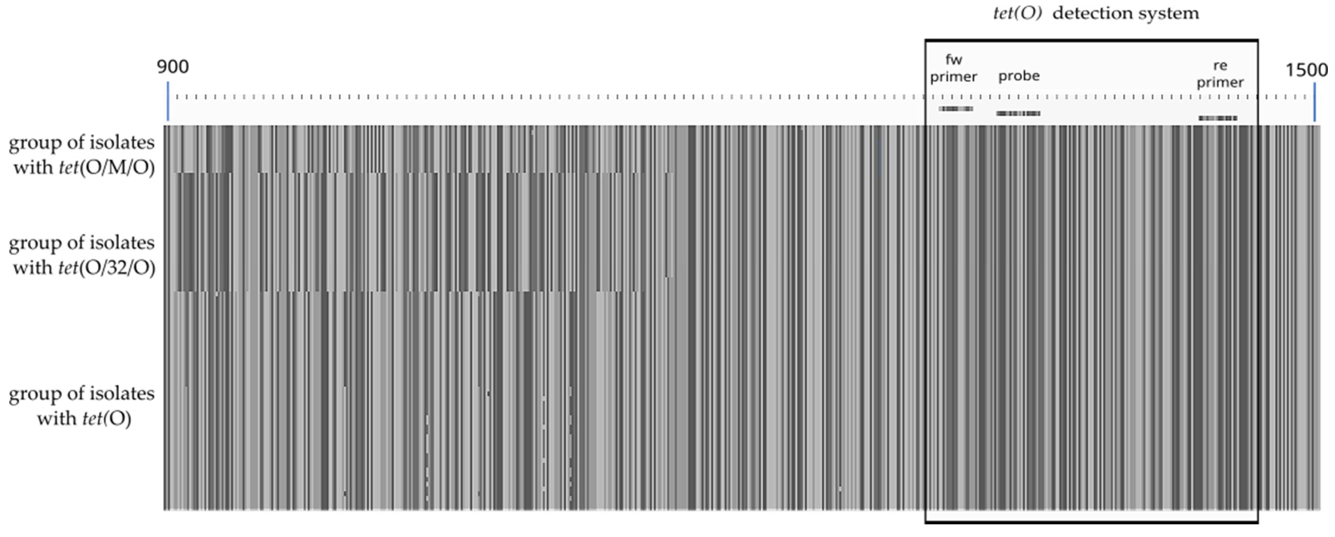 Microorganisms 11 02927 g002