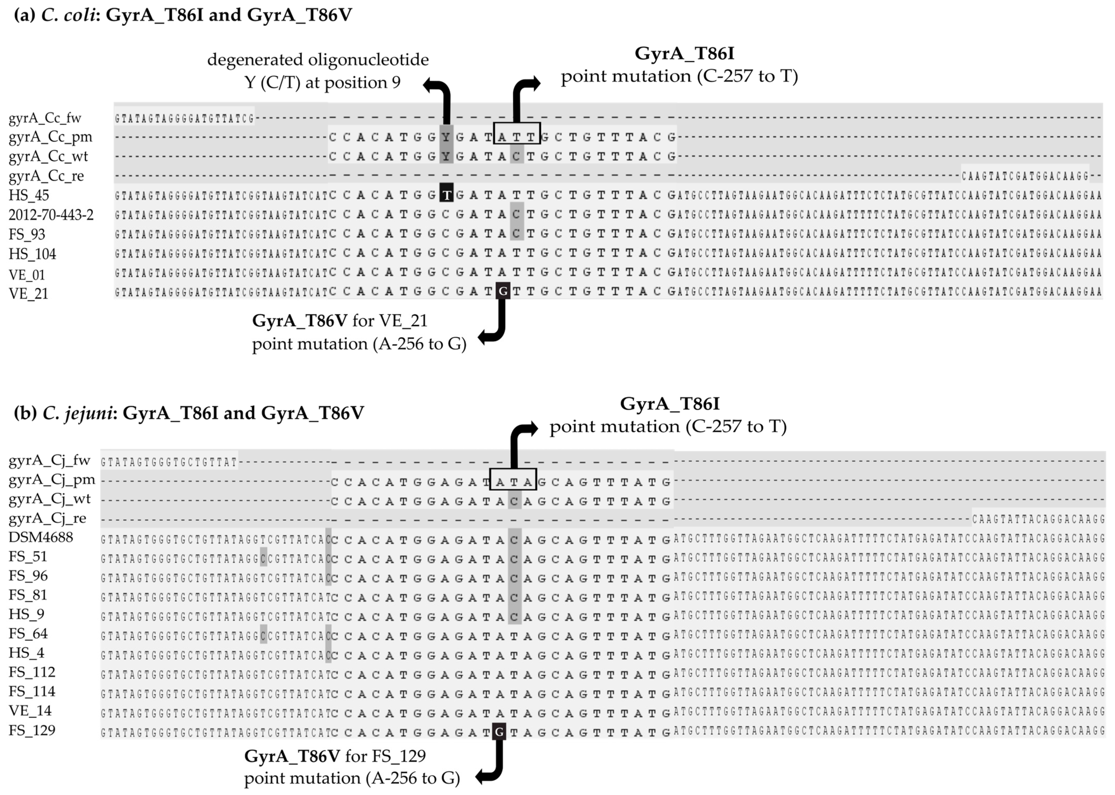 Microorganisms 11 02927 g003