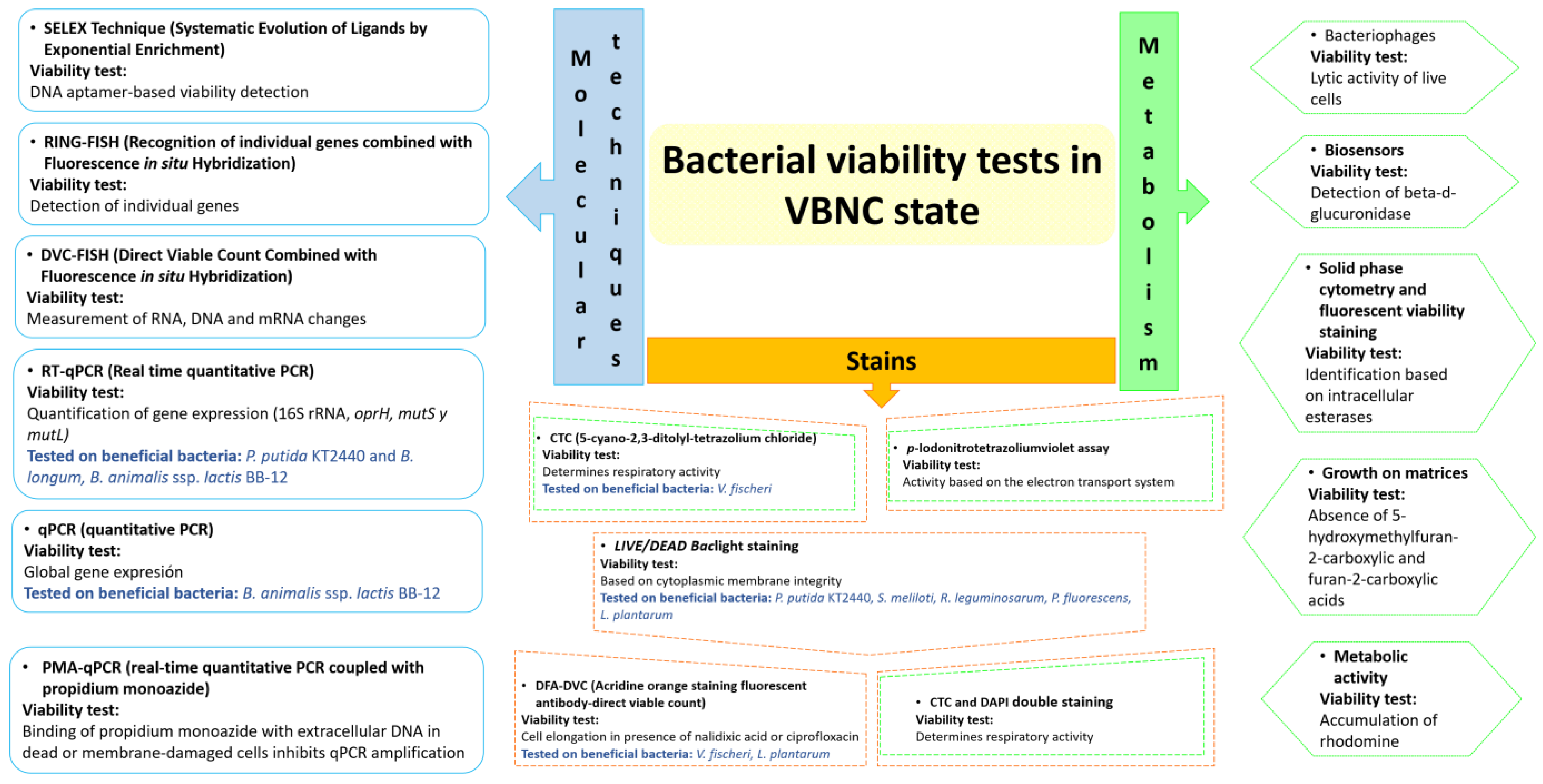 Microorganisms 12 00039 g003