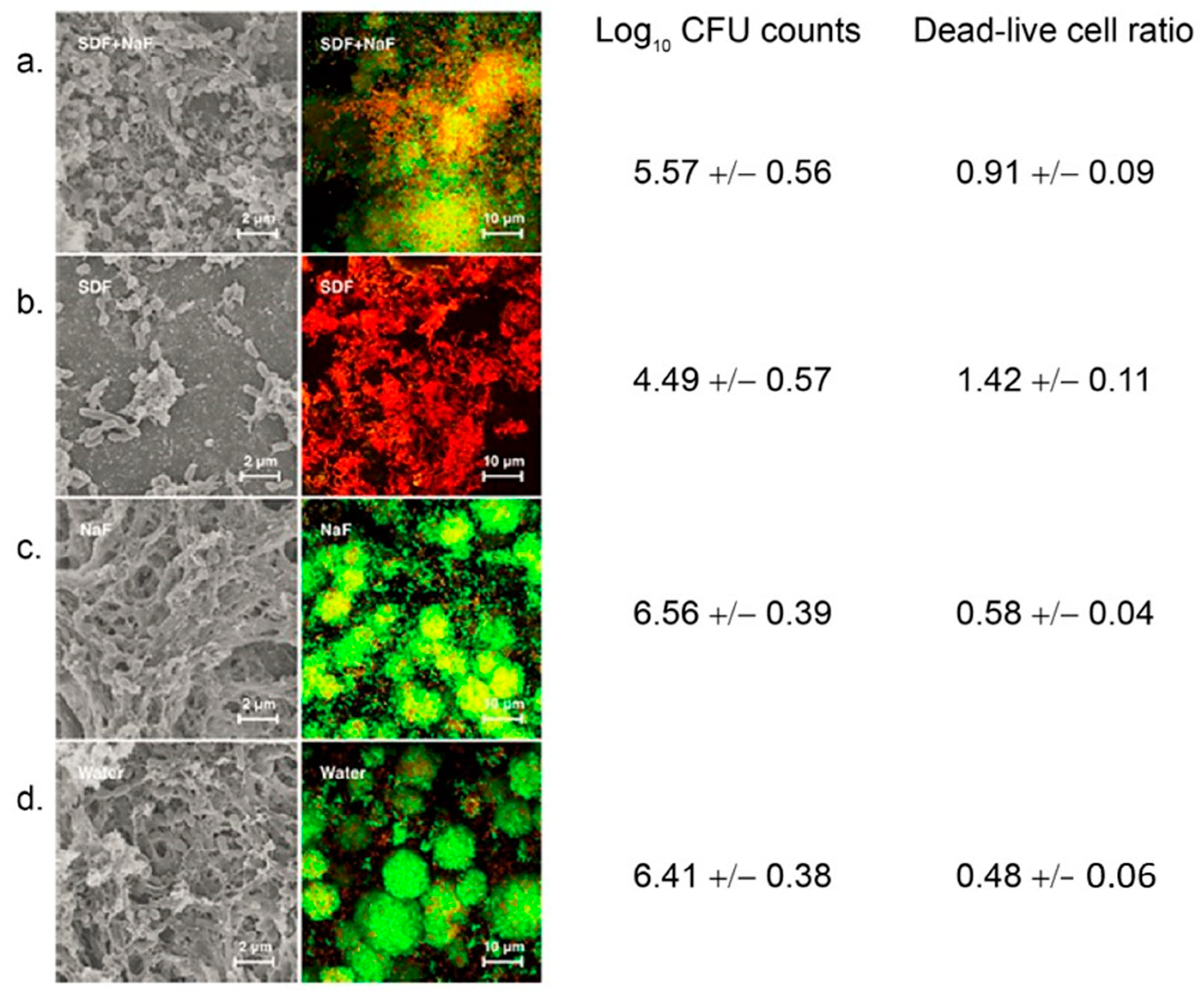Microorganisms 12 00121 g008