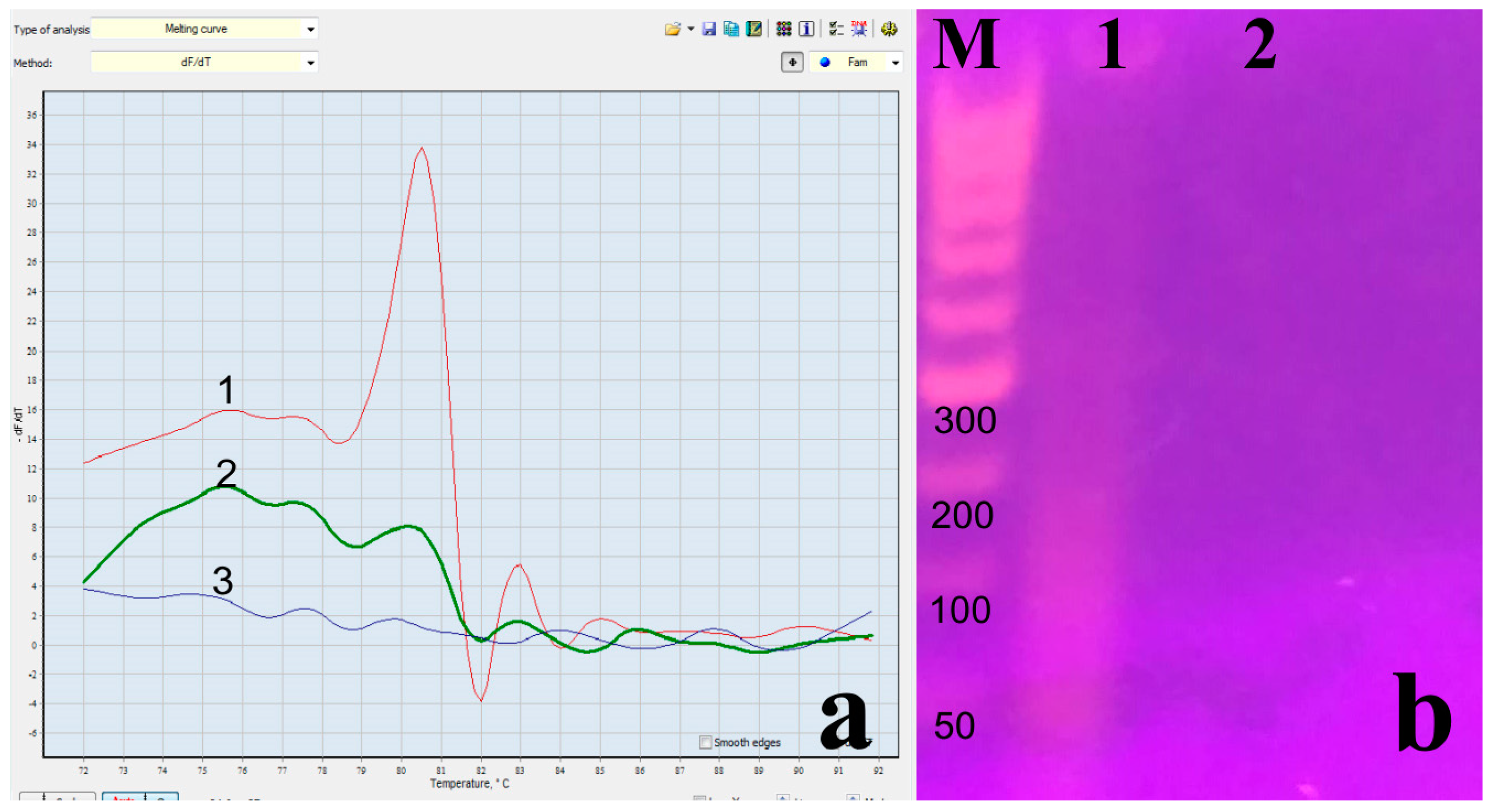 Microorganisms 12 00180 g003