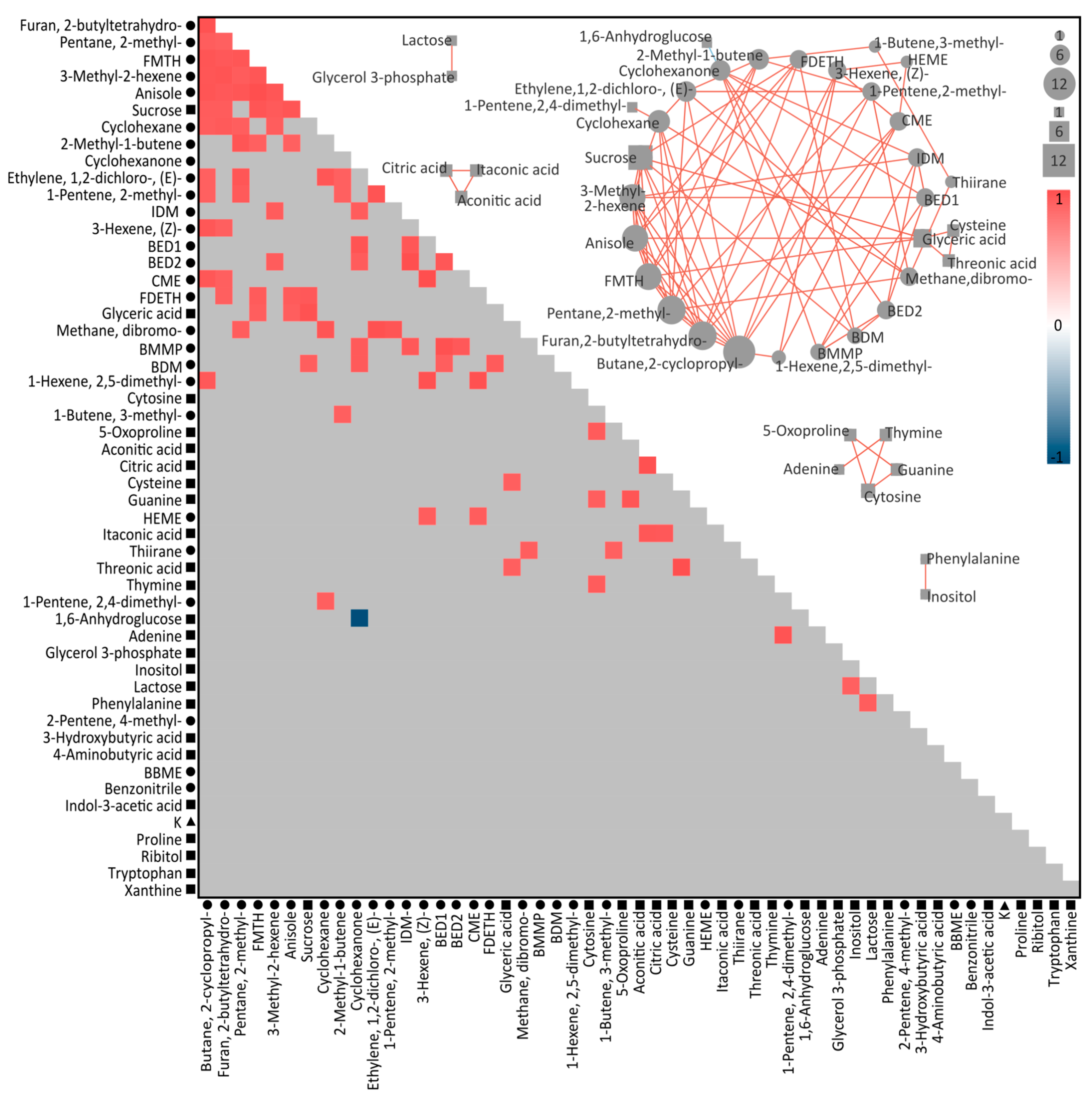 Microorganisms 12 00317 g005