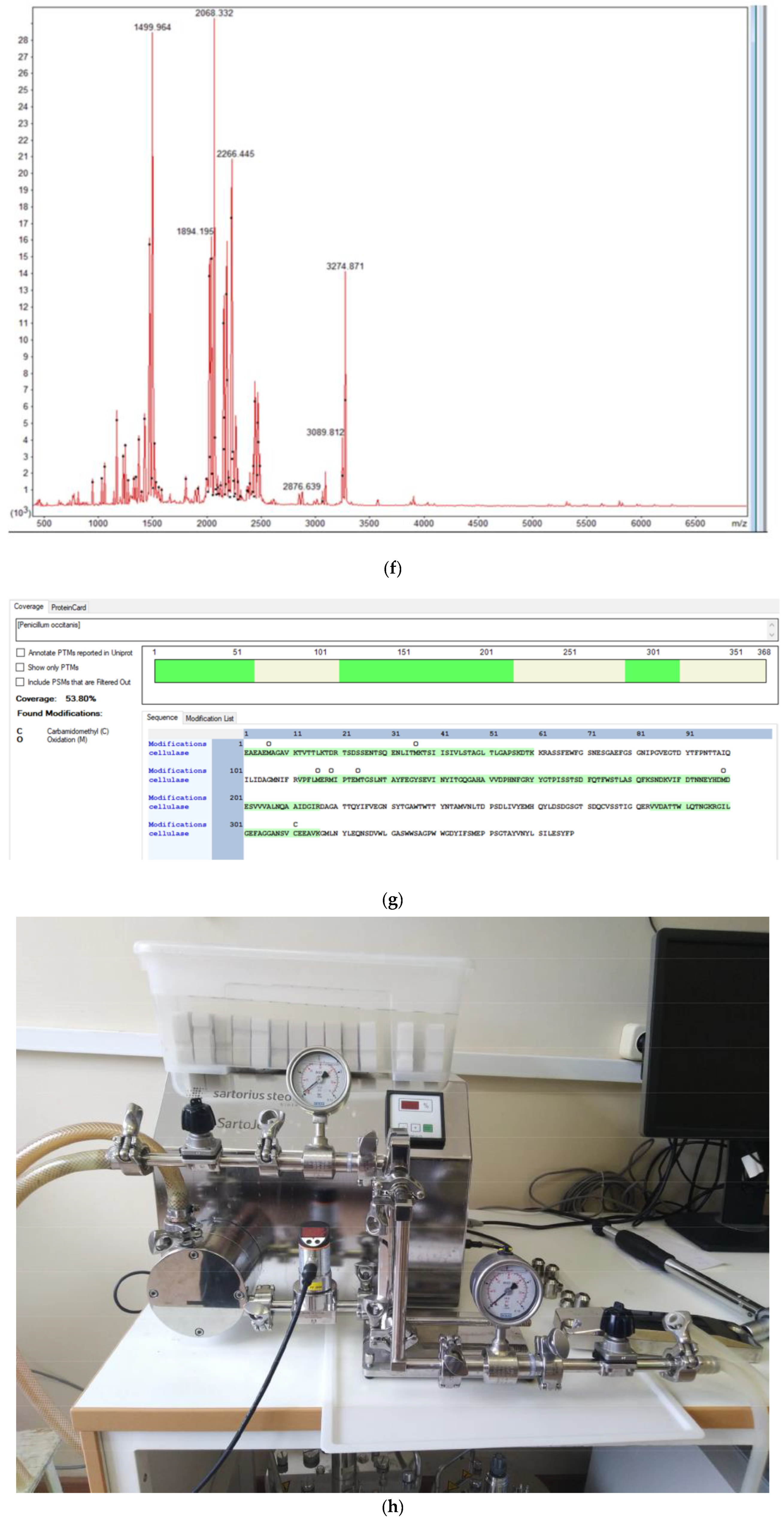 Microorganisms 12 00346 g004c