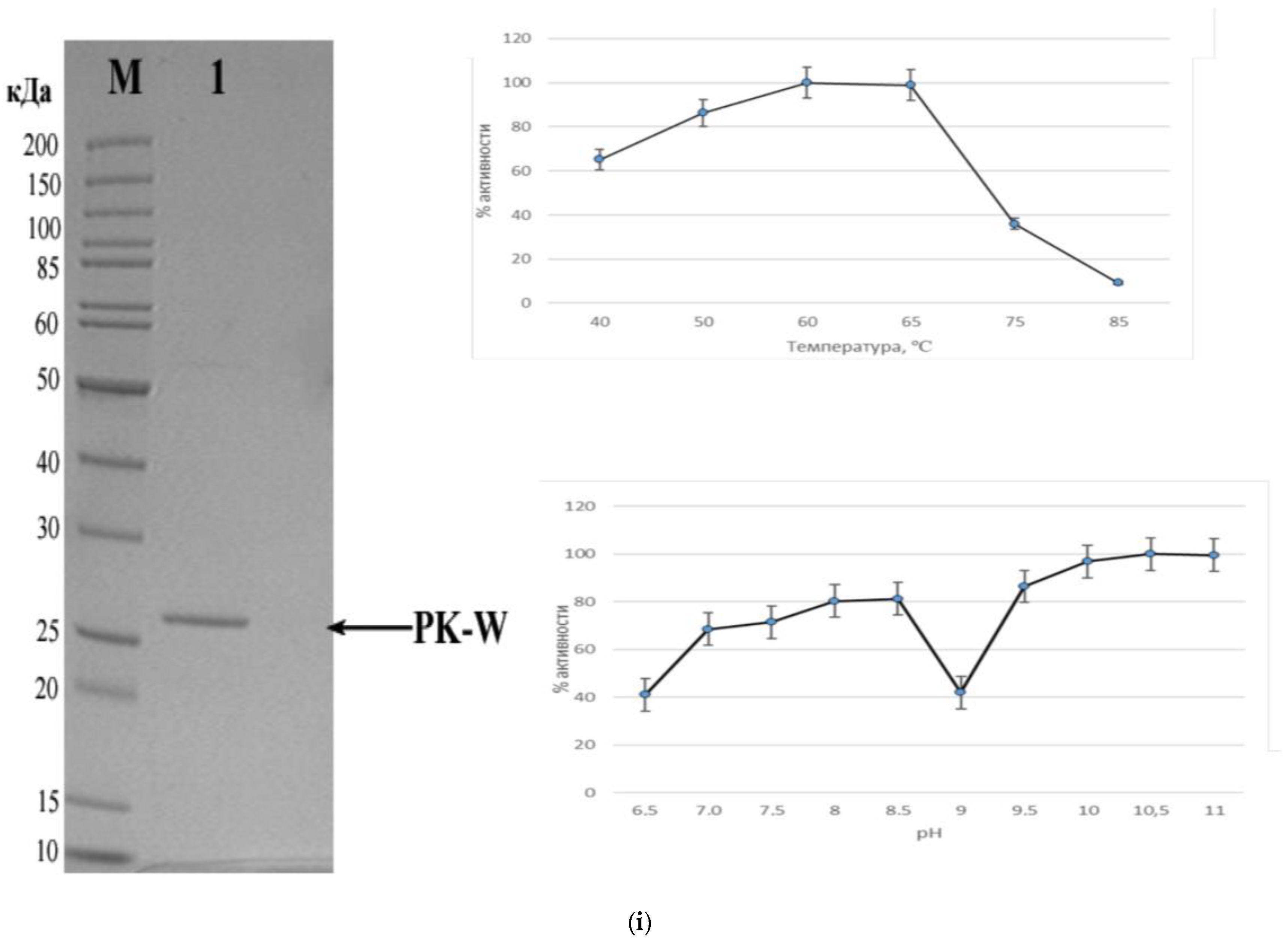 Microorganisms 12 00346 g004d