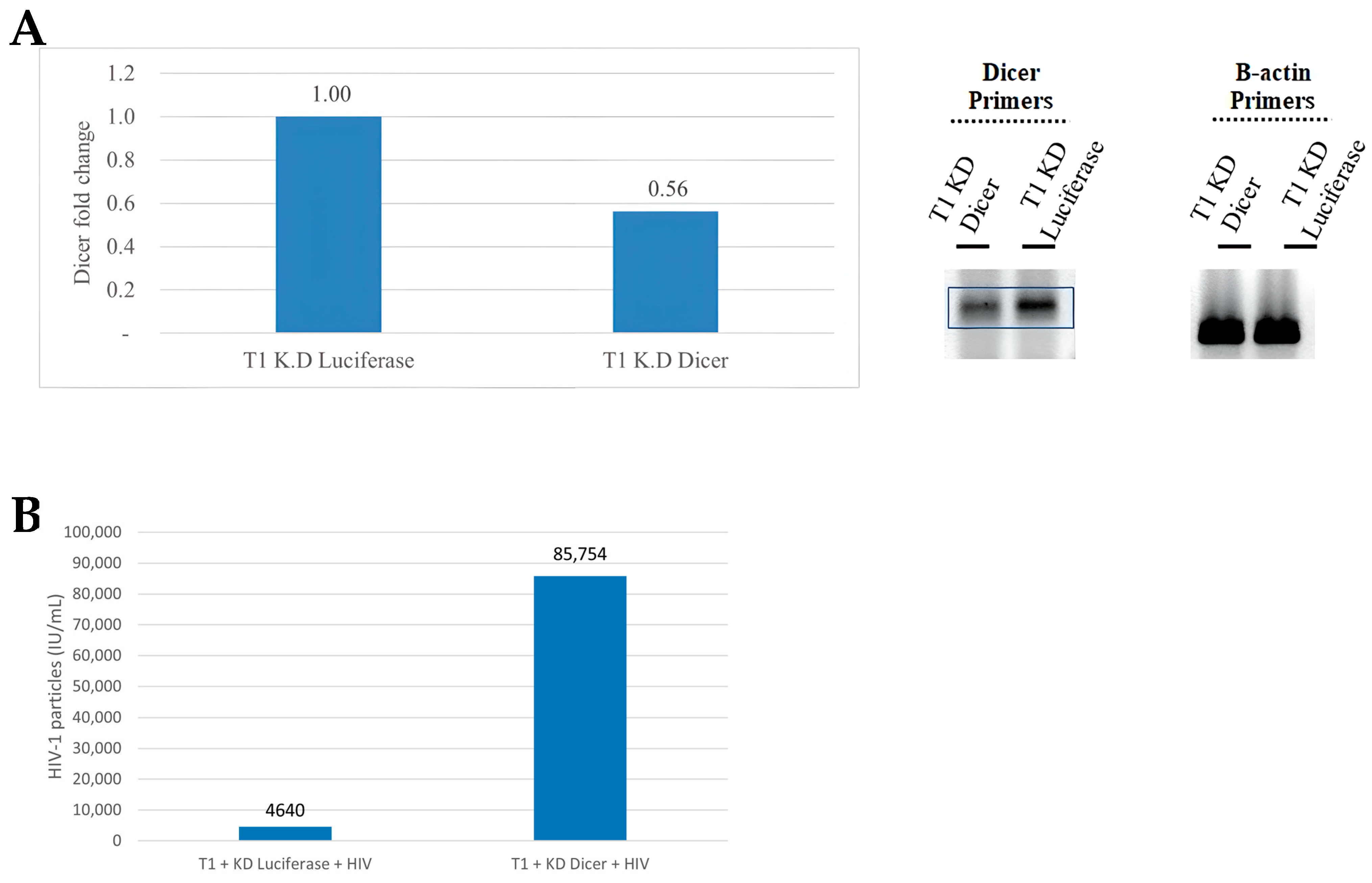 Microorganisms 12 00425 g001