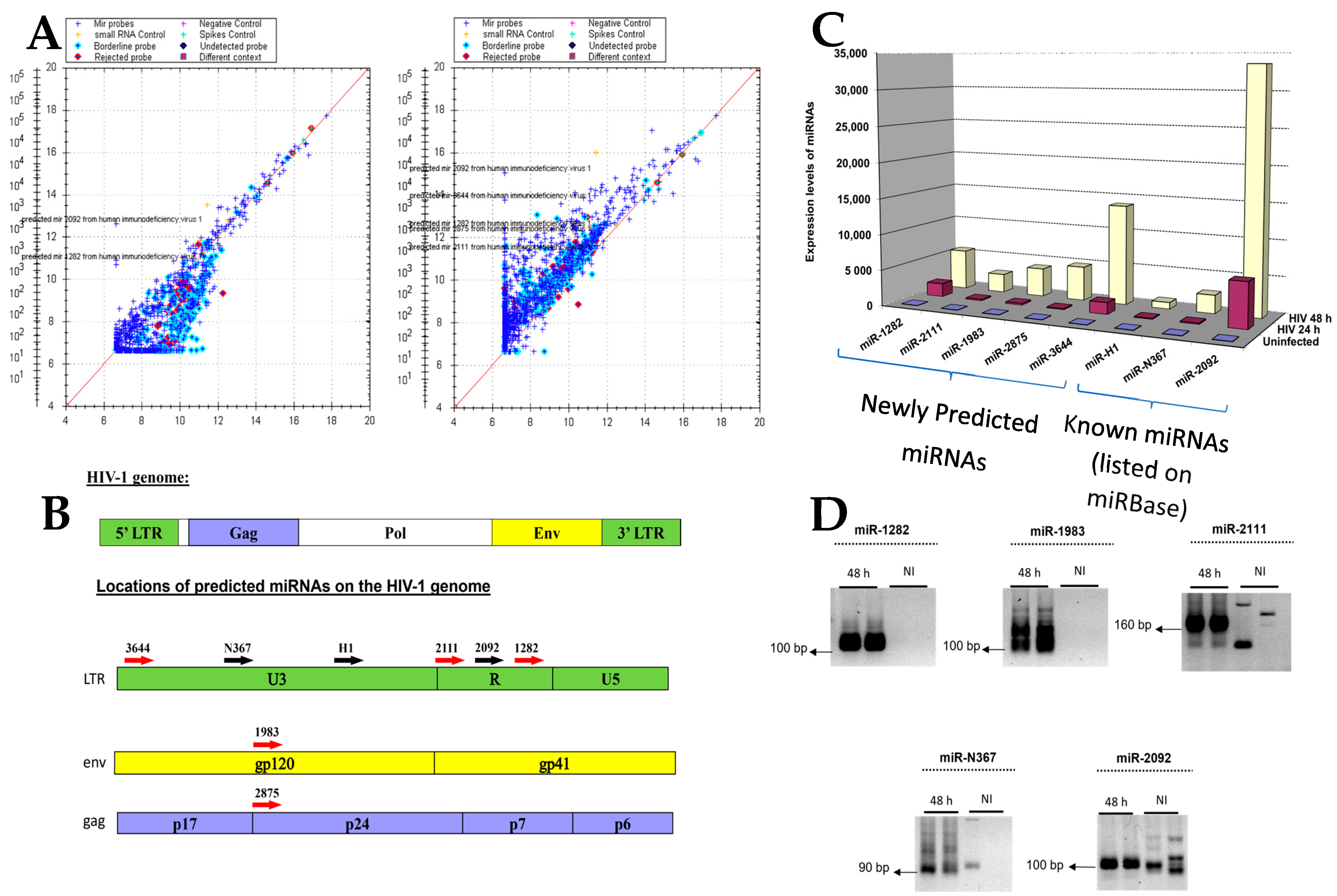 Microorganisms 12 00425 g002