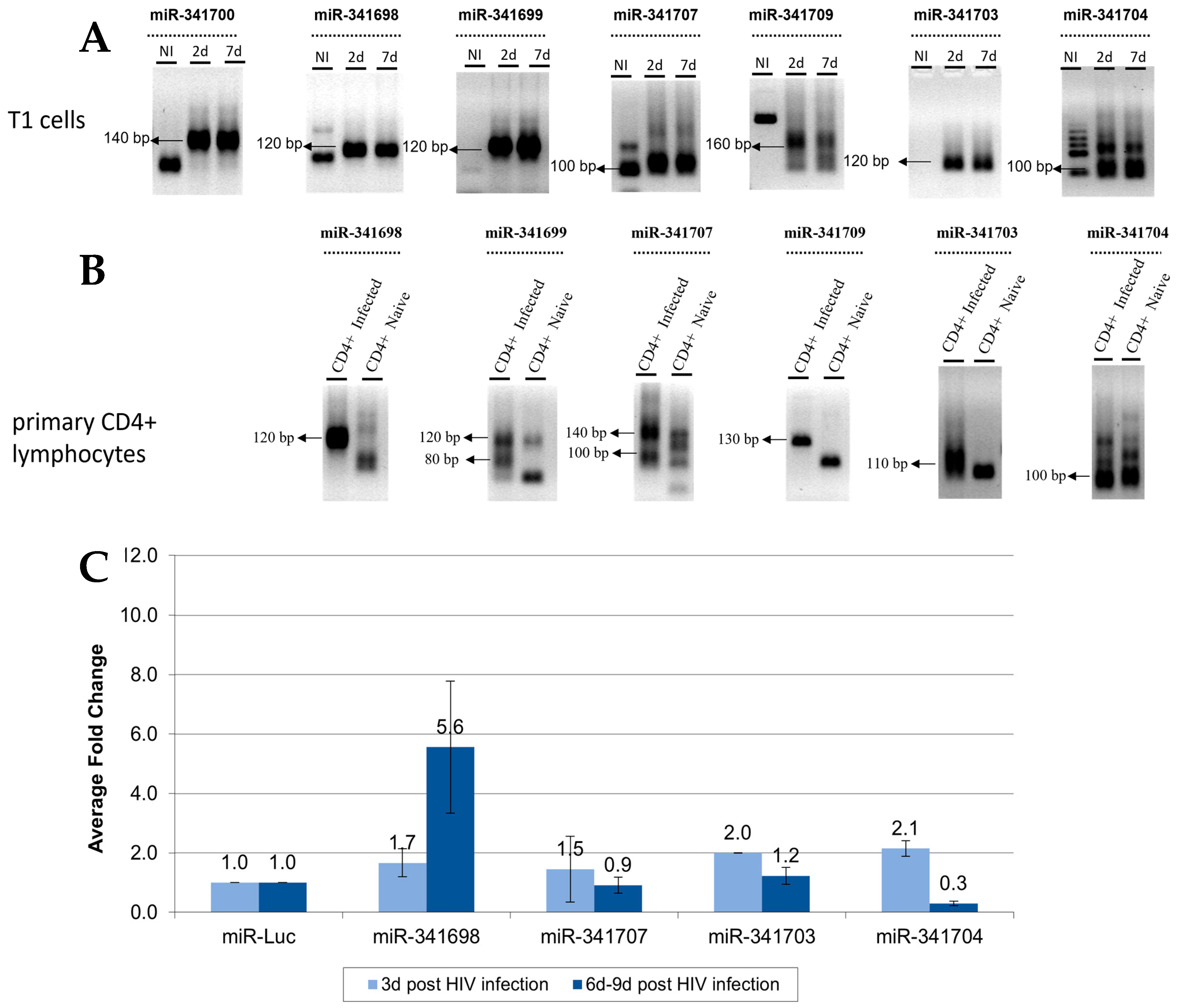 Microorganisms 12 00425 g004