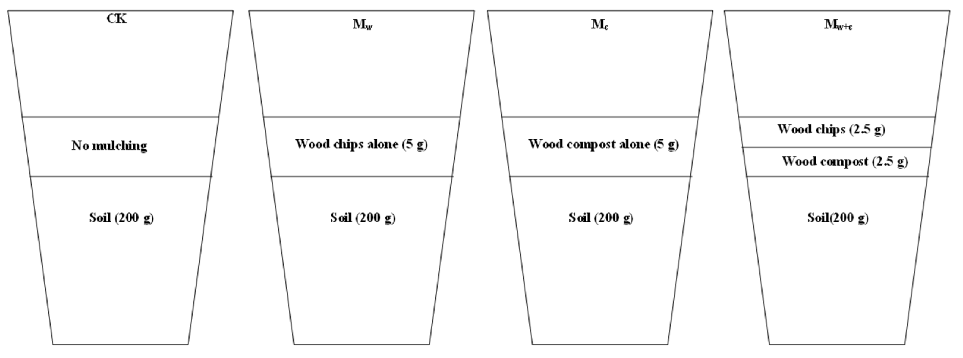 Microorganisms 12 00520 g001