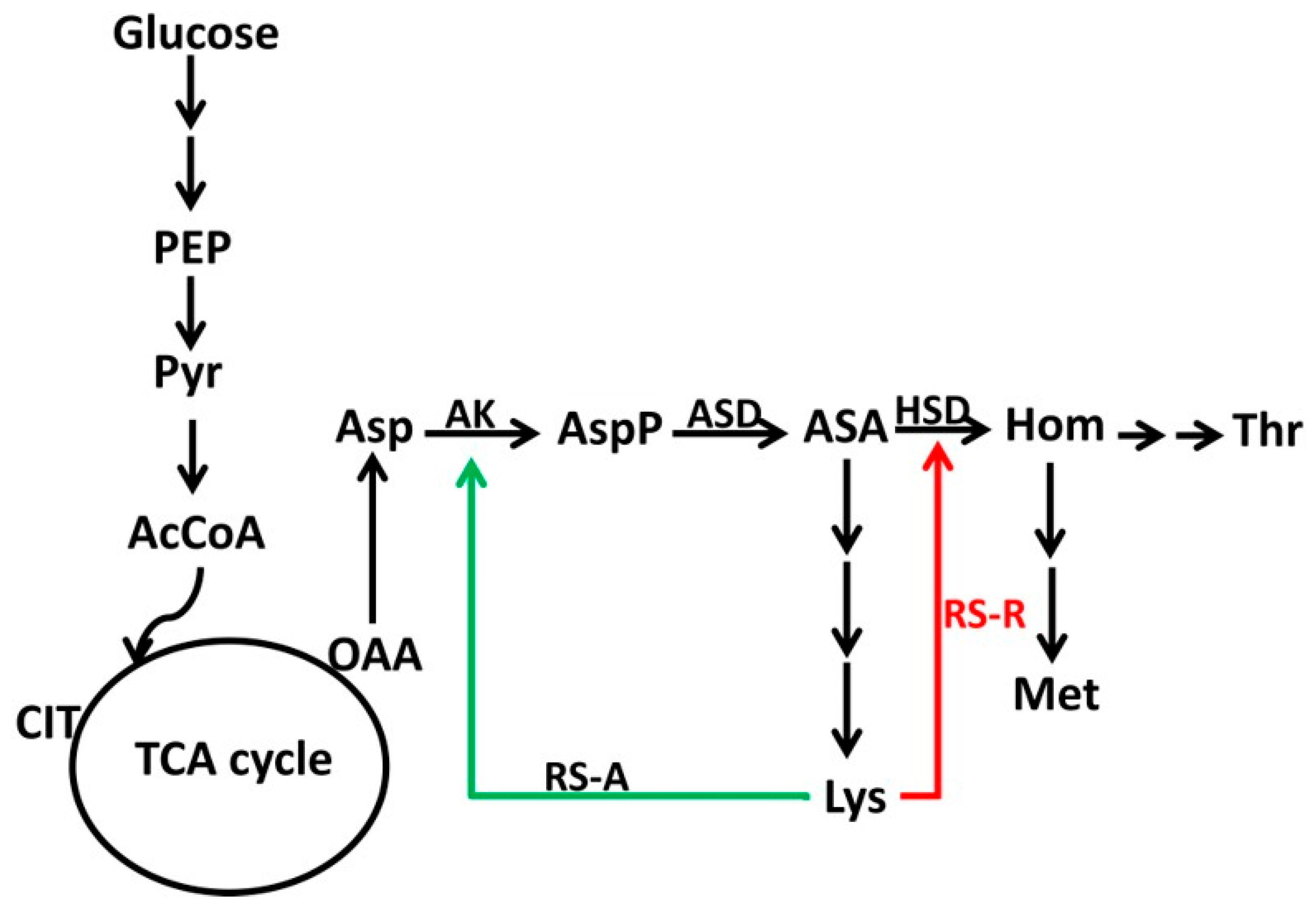 Microorganisms 12 00606 g001