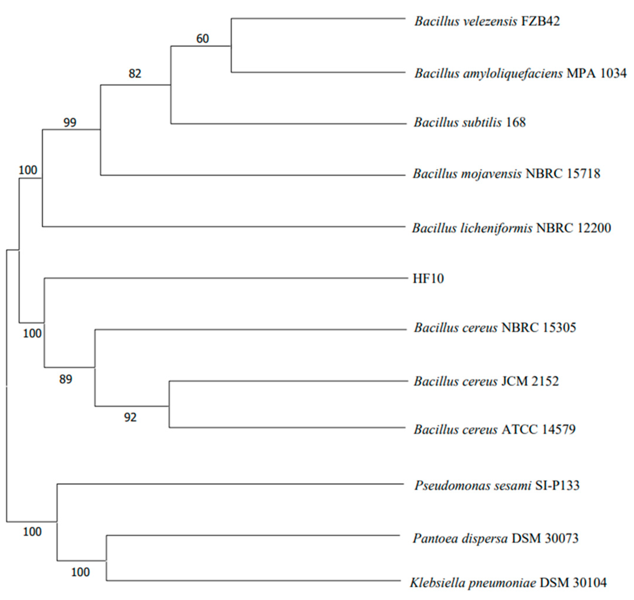 Microorganisms 12 00611 g002