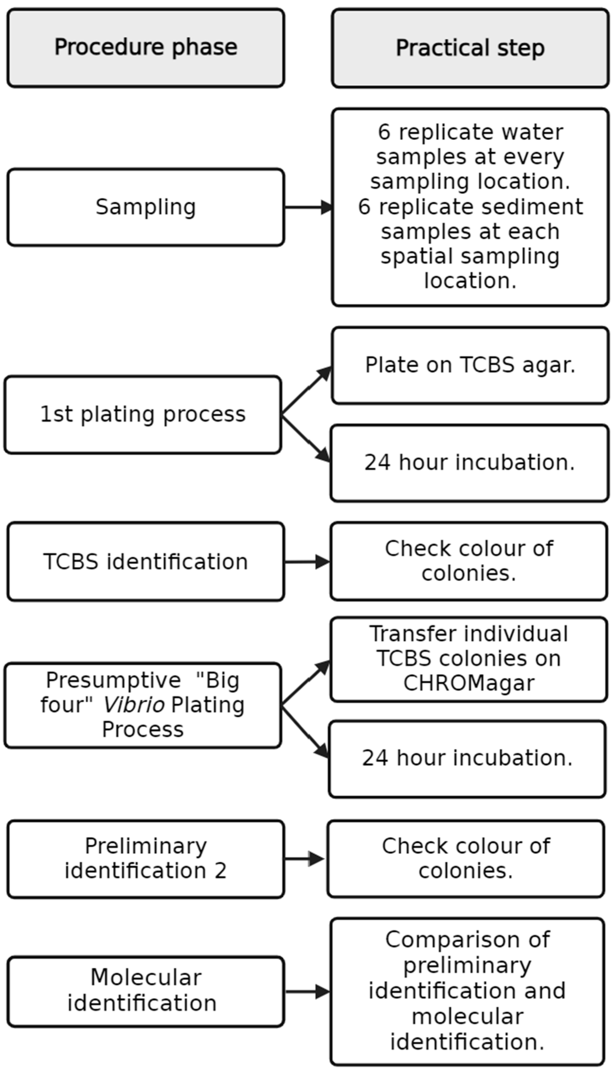 Microorganisms 12 00614 g002