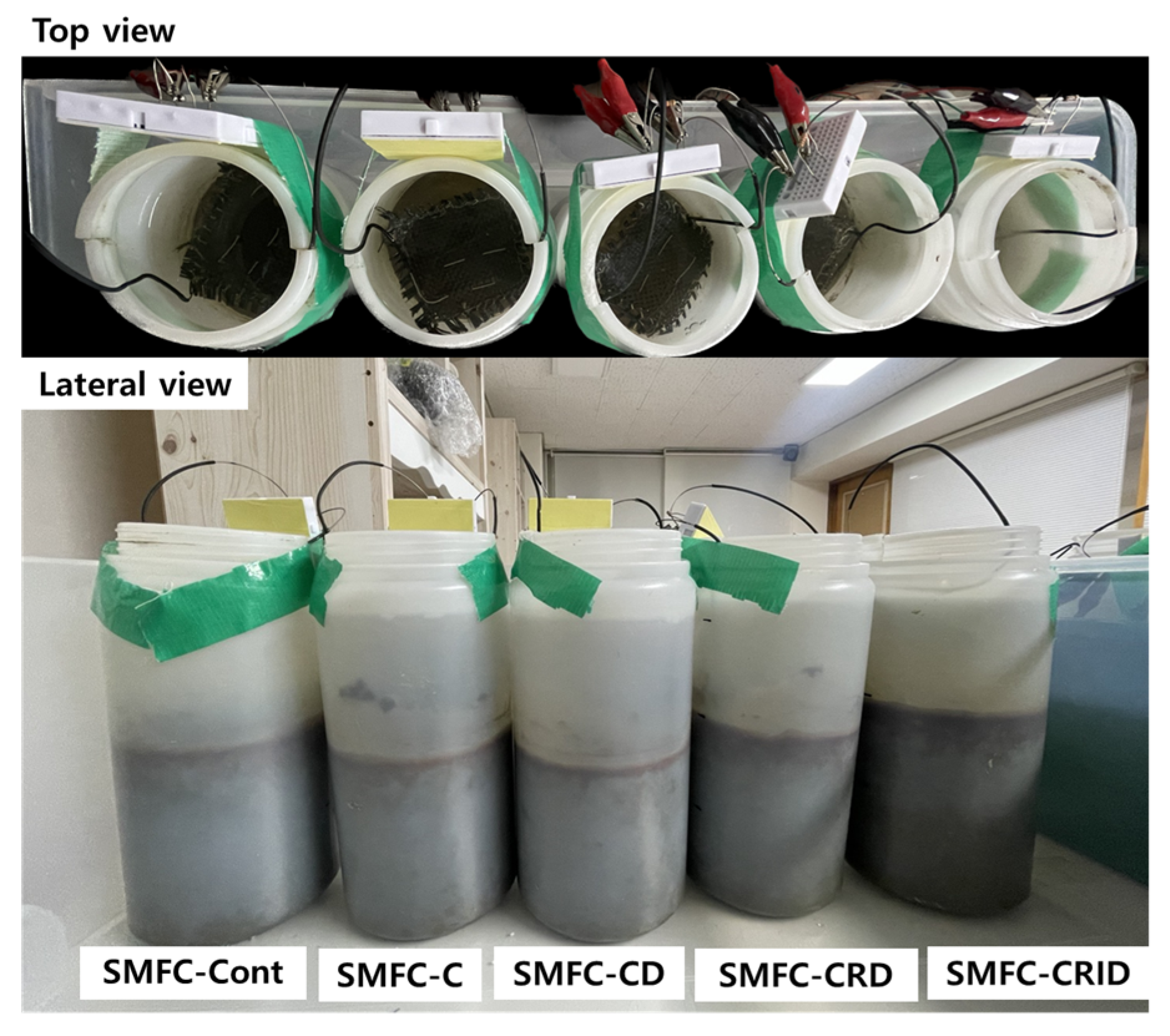 Microorganisms 12 00618 g002