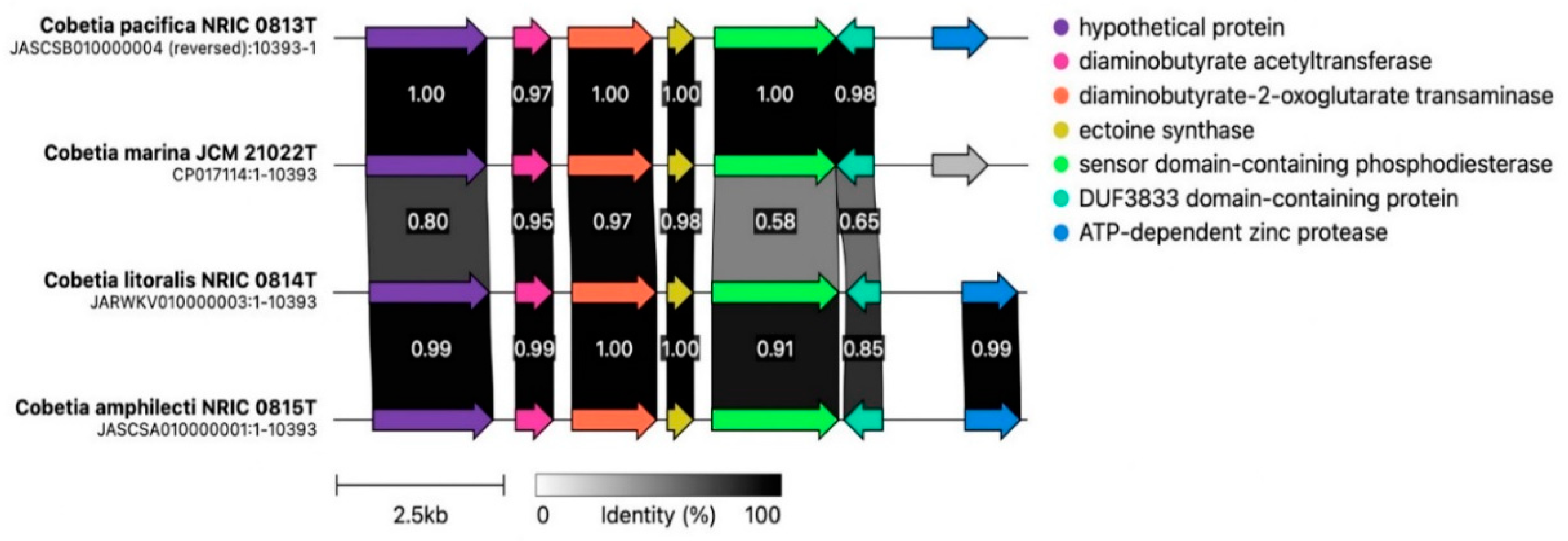 Microorganisms 12 00631 g005