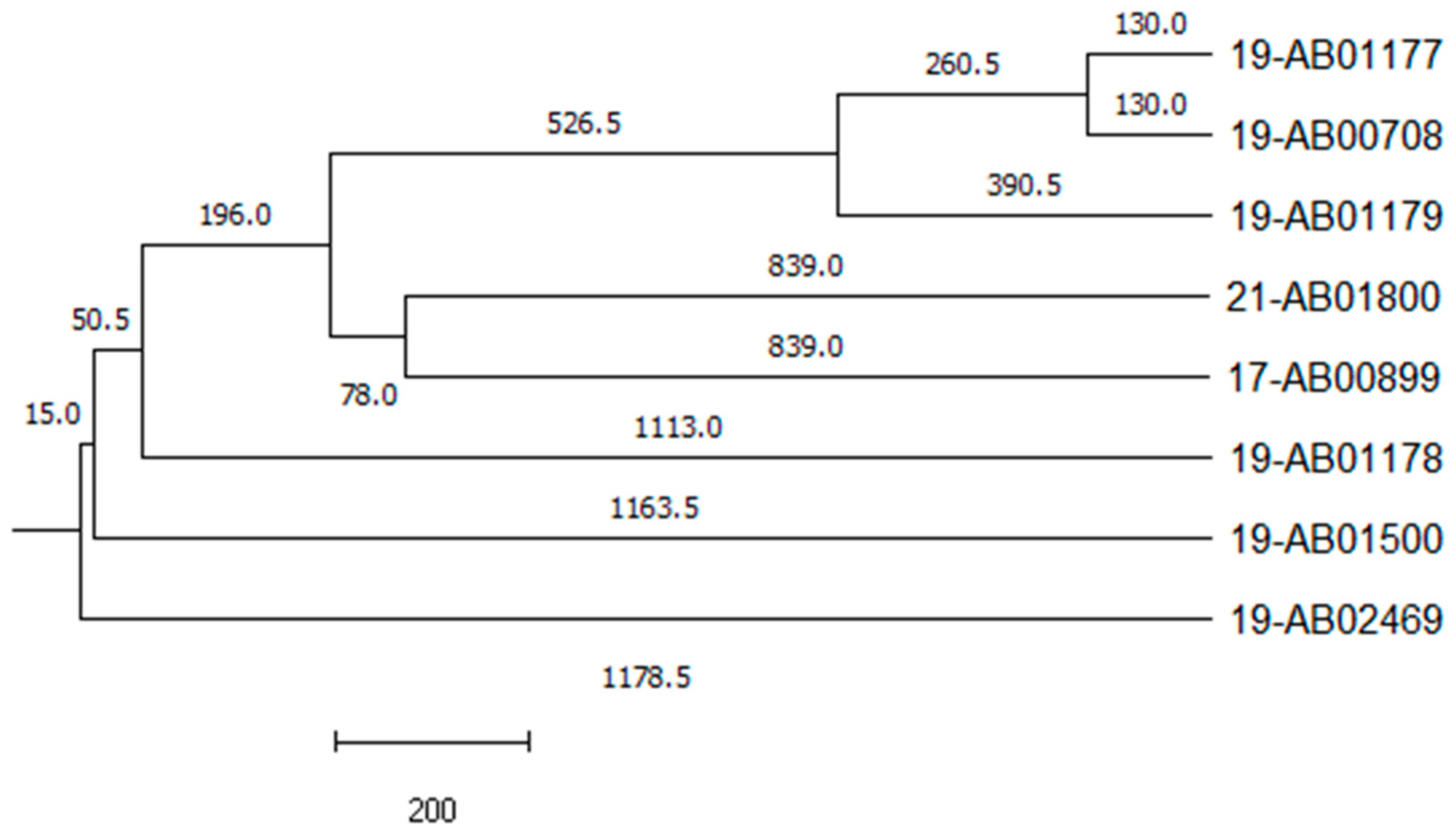 Microorganisms 12 00632 g001