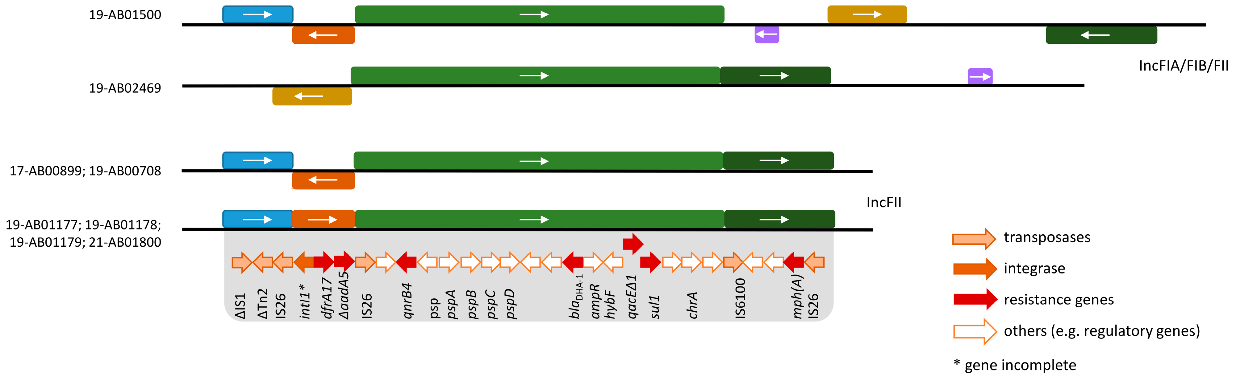 Microorganisms 12 00632 g002