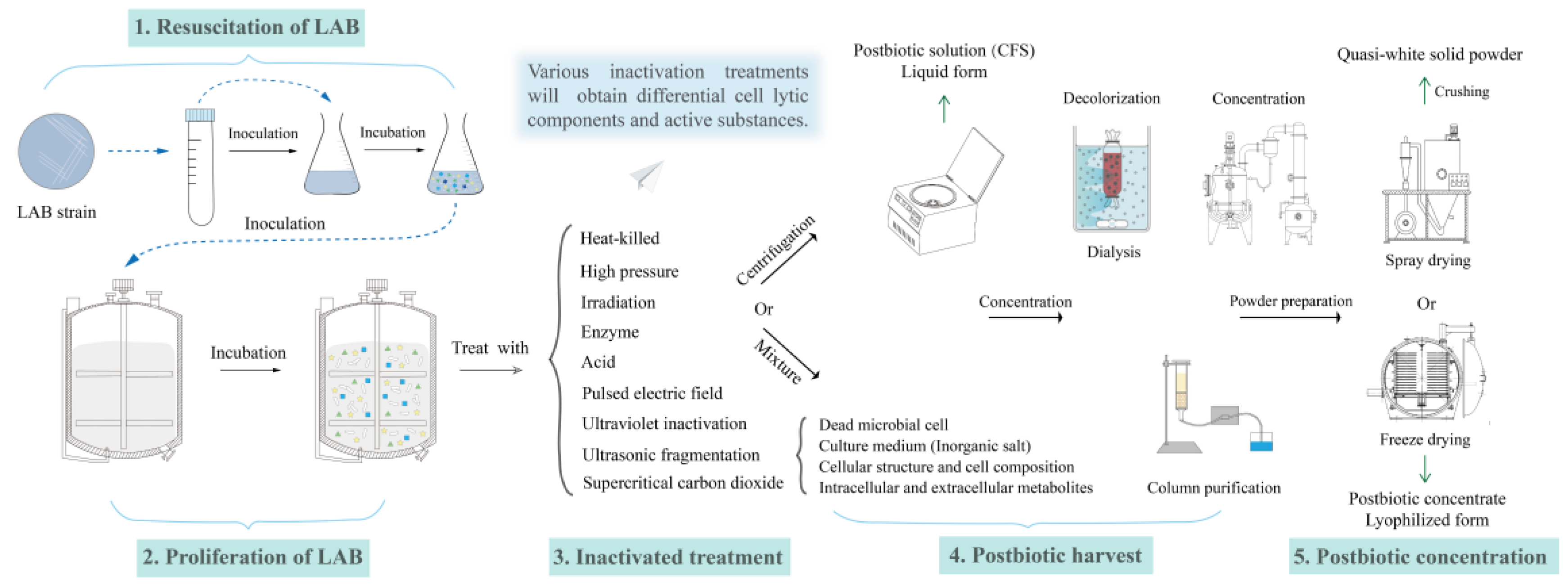 Microorganisms 12 00704 g002