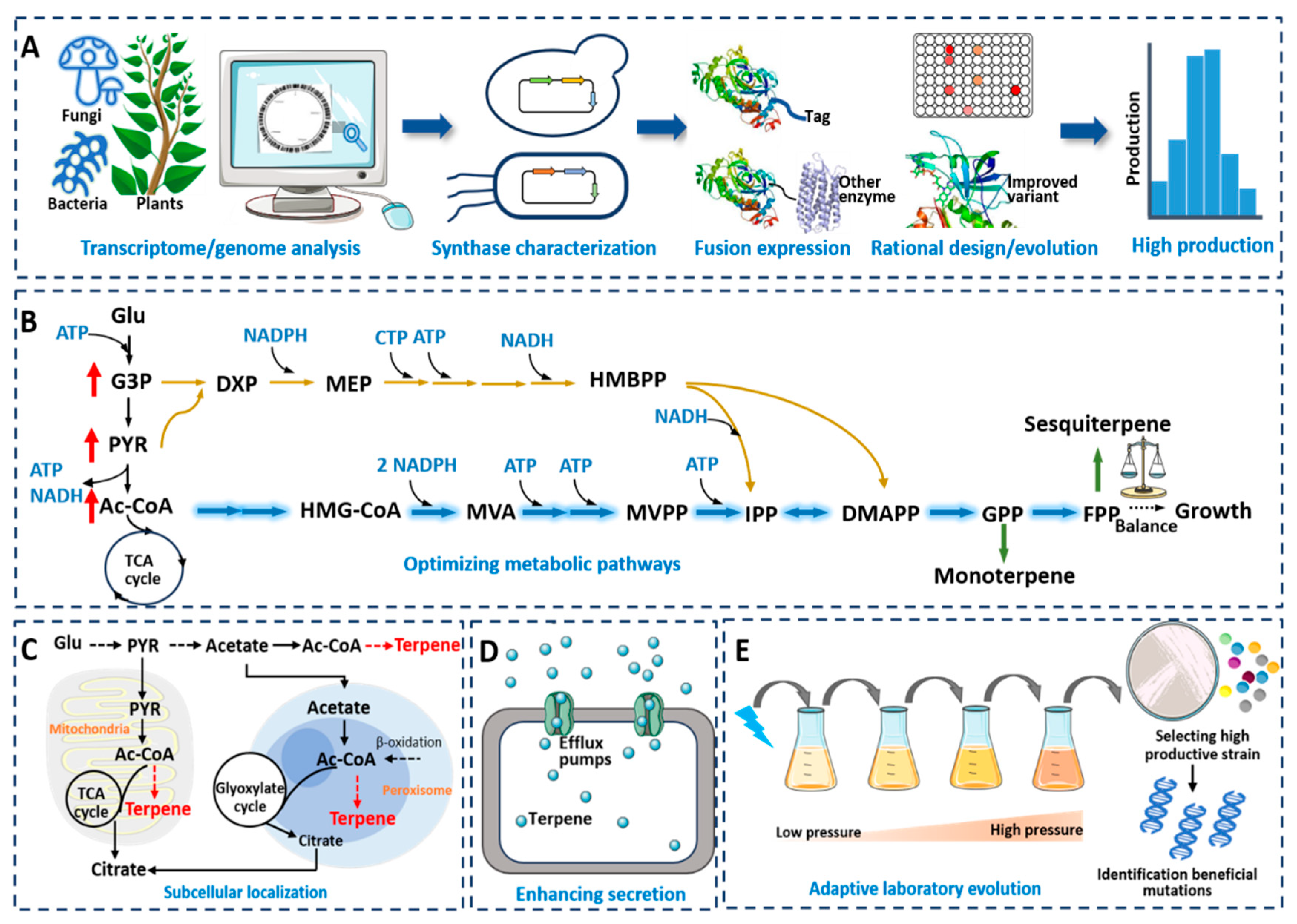Microorganisms 12 00706 g002