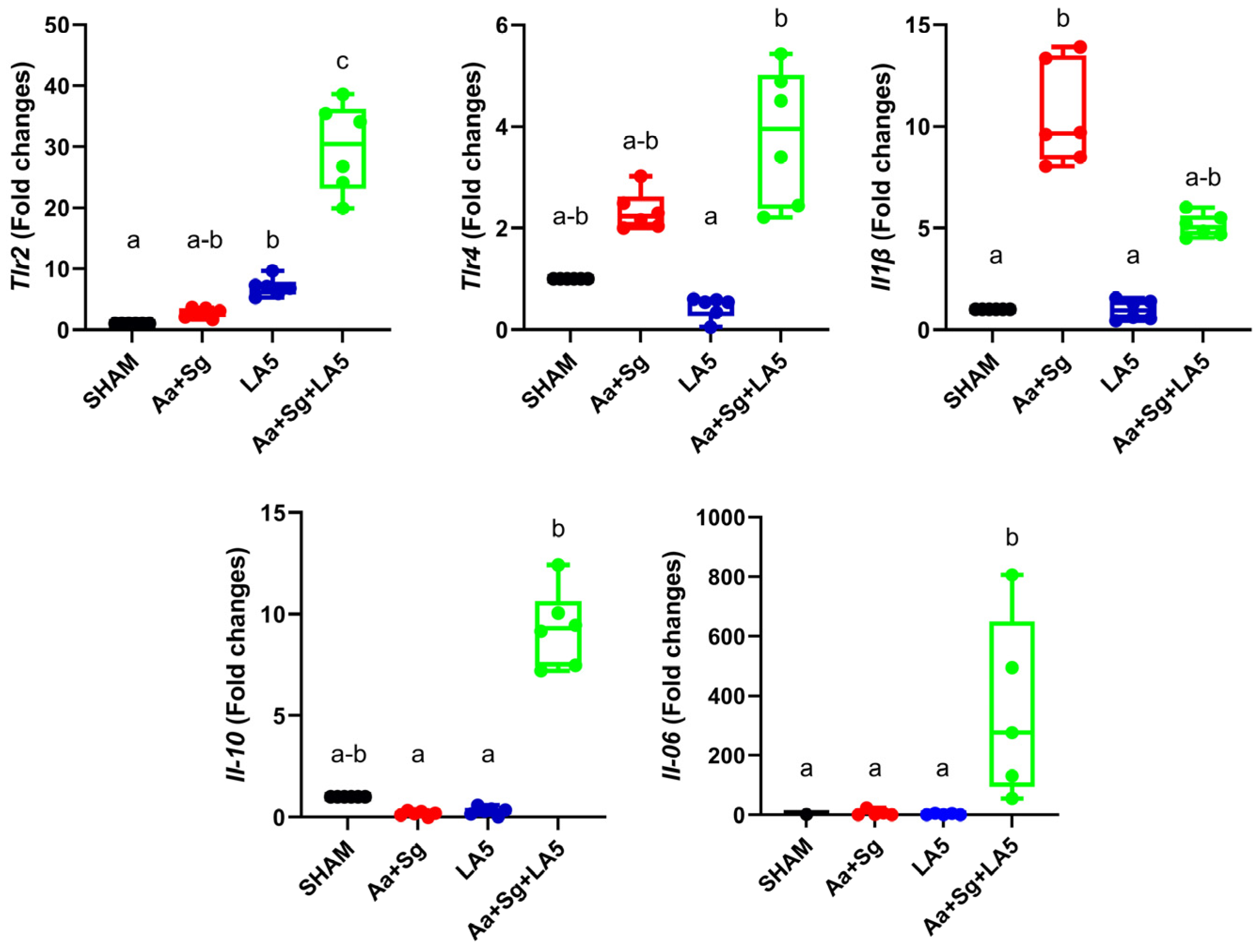 Microorganisms 12 00836 g002