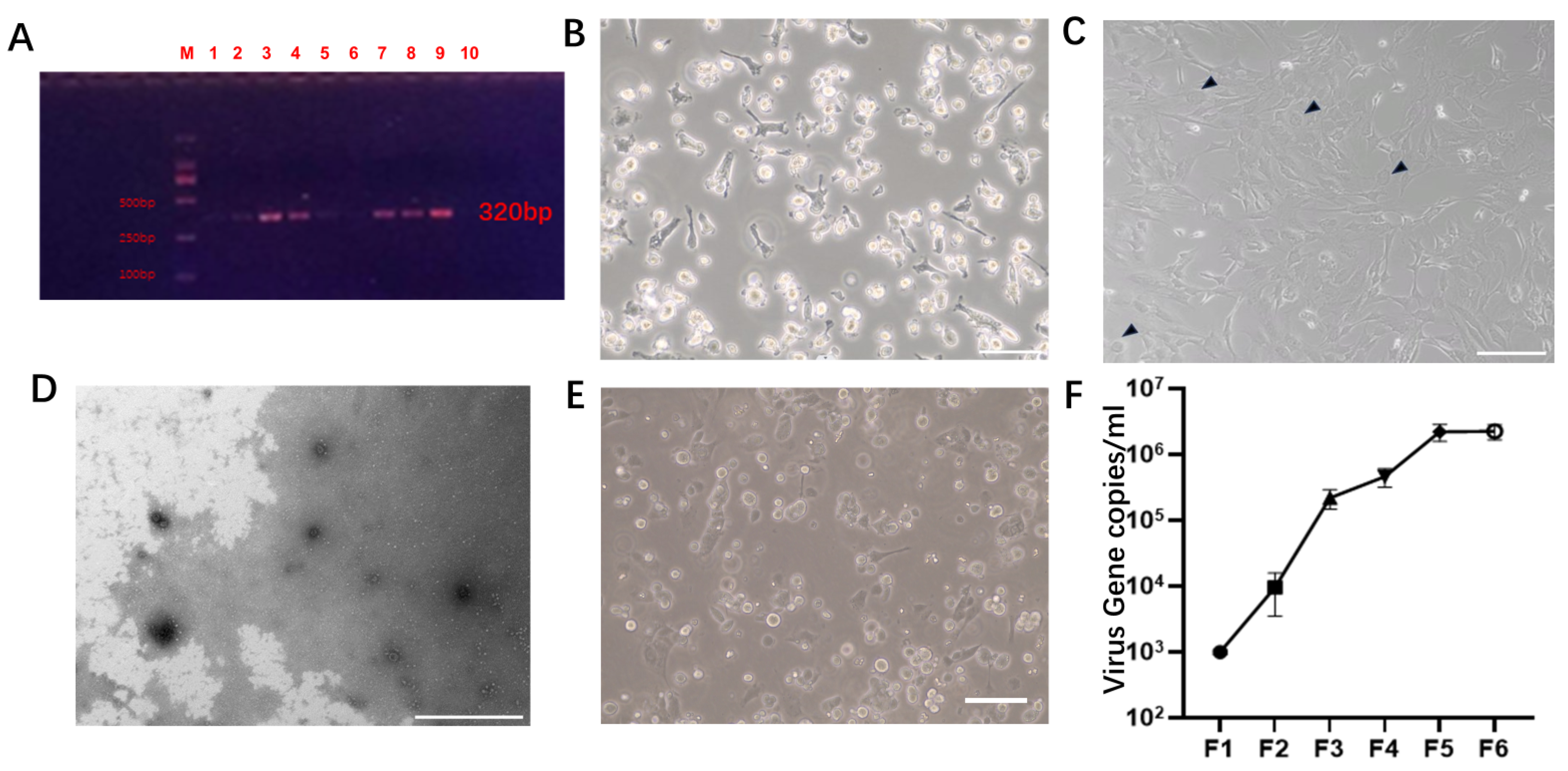 Microorganisms 12 00837 g001