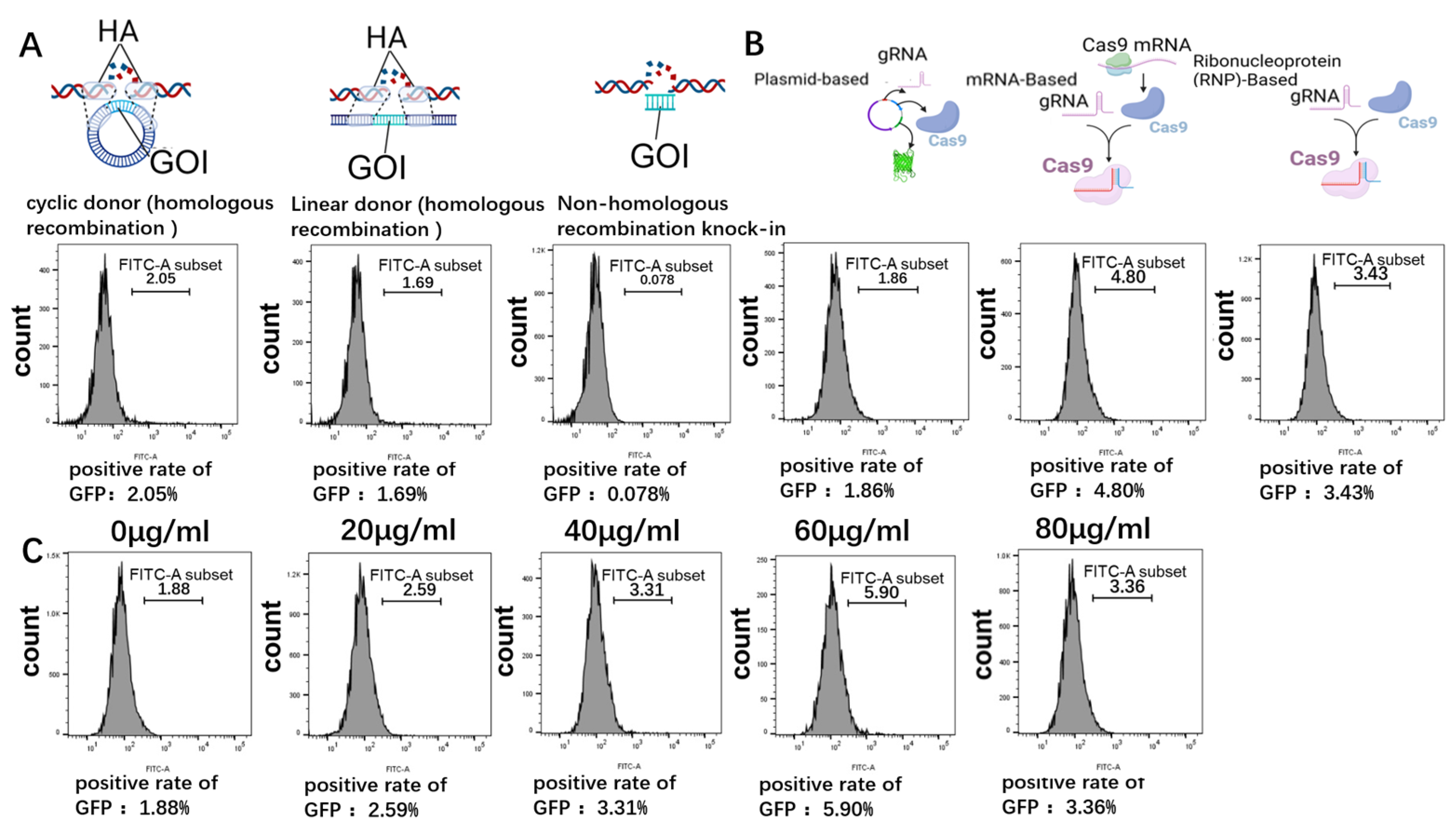 Microorganisms 12 00837 g003