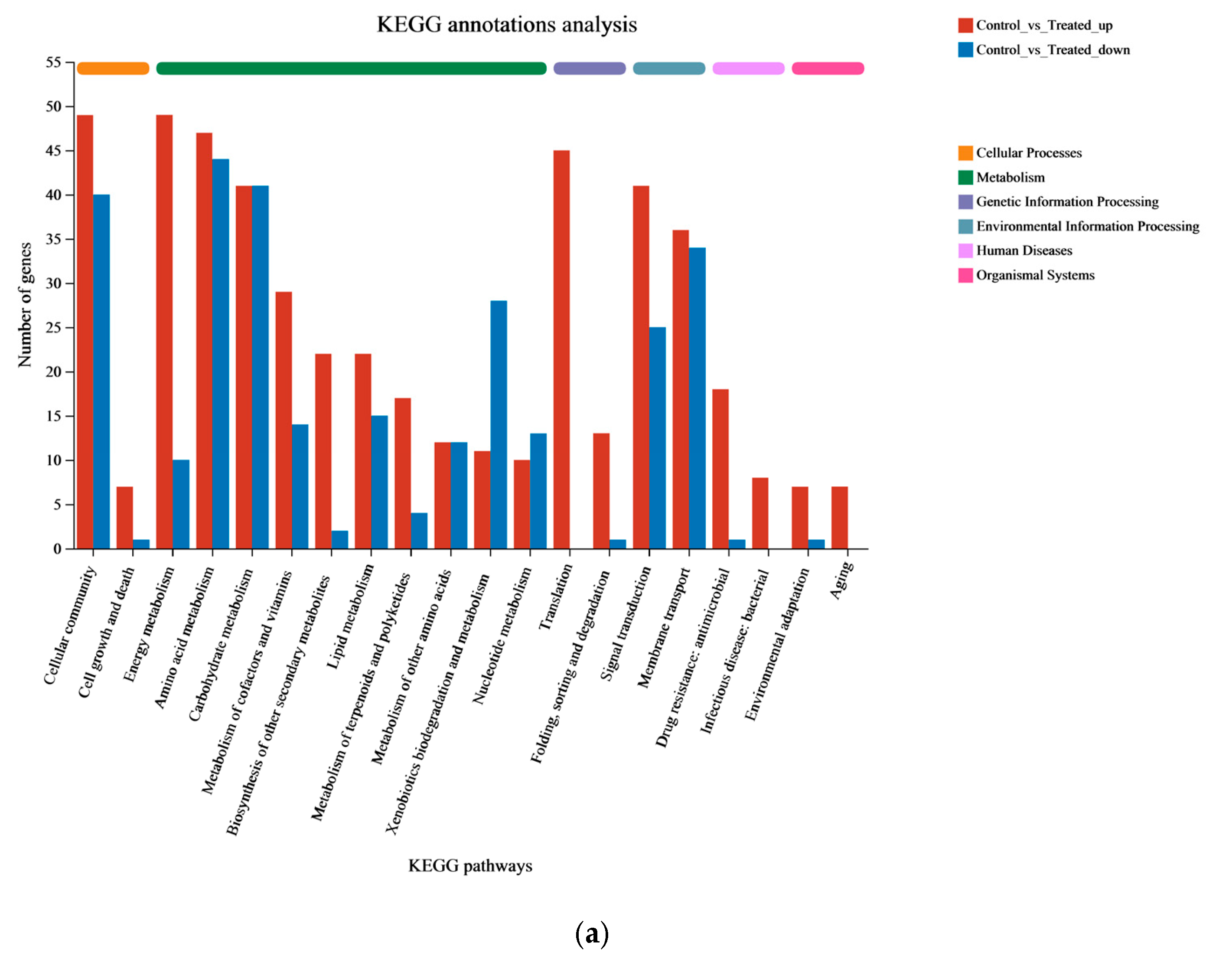 Microorganisms 12 00841 g005a