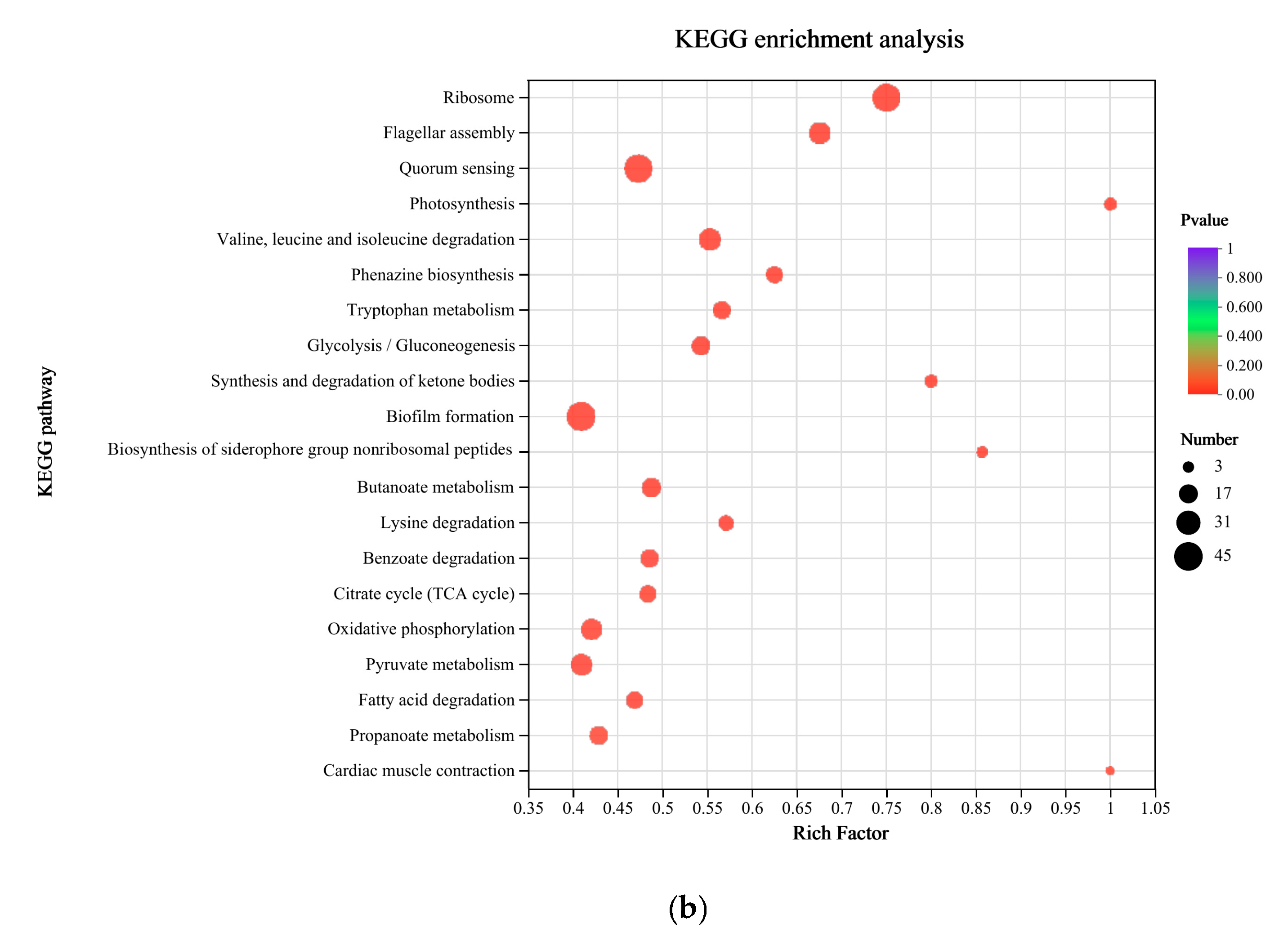Microorganisms 12 00841 g005b