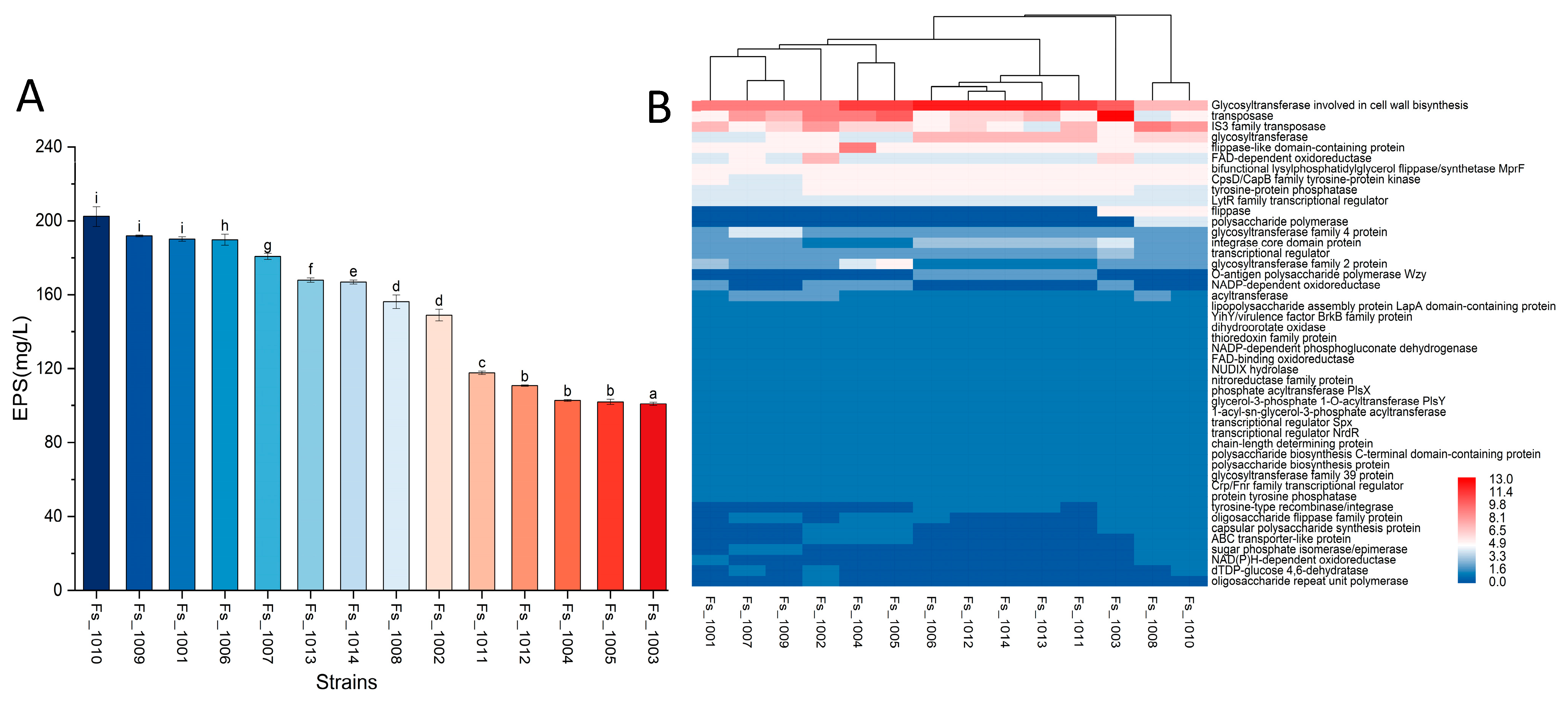 Microorganisms 12 00845 g004