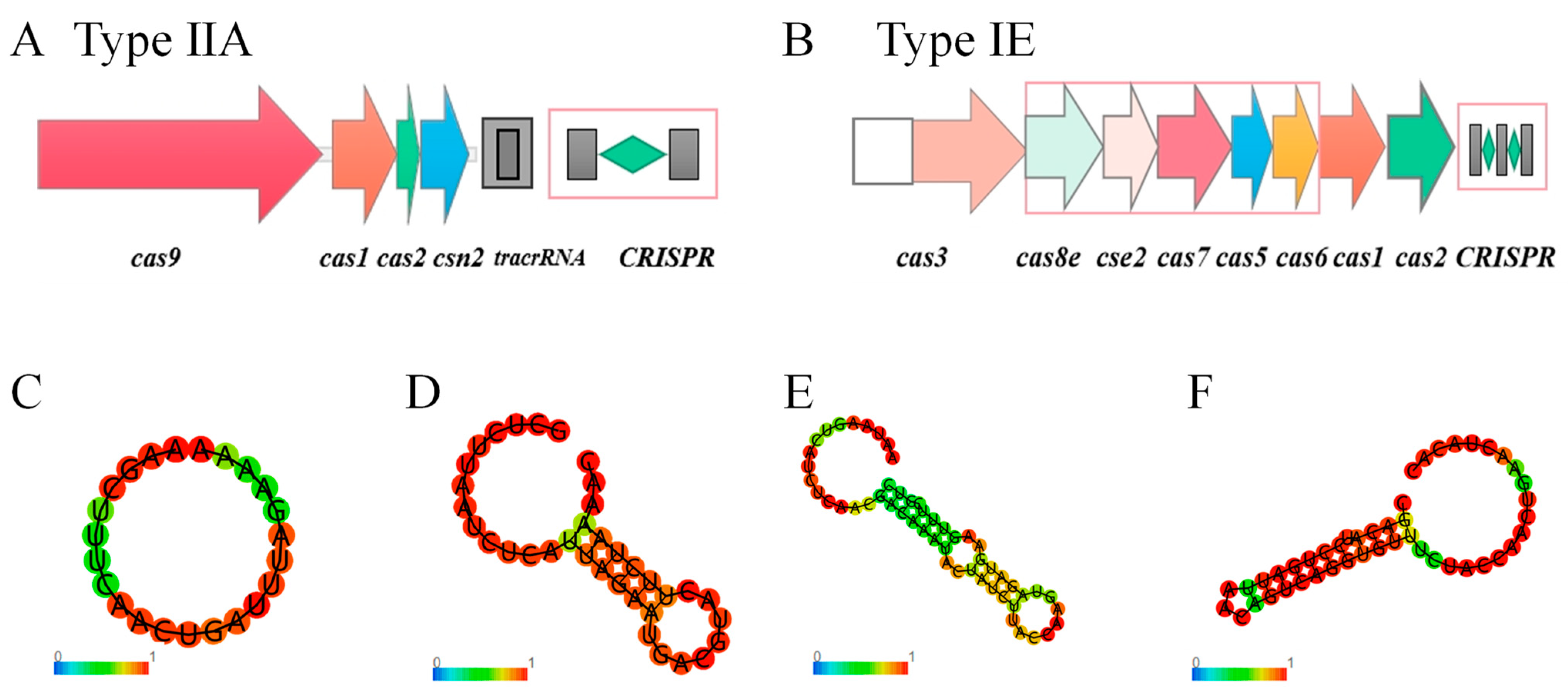 Microorganisms 12 00845 g006